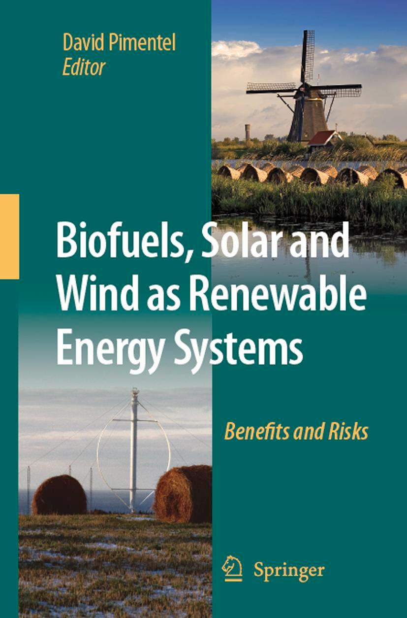 Vorderes Coverbild Biofuels, Solar and Wind as Renewable Energy Systems