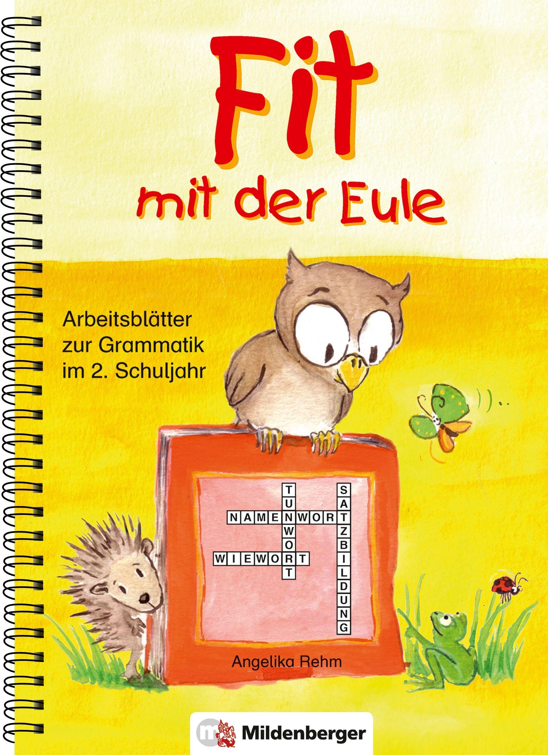 Vorderes Coverbild Fit mit der Eule 2. 2. Schuljahr