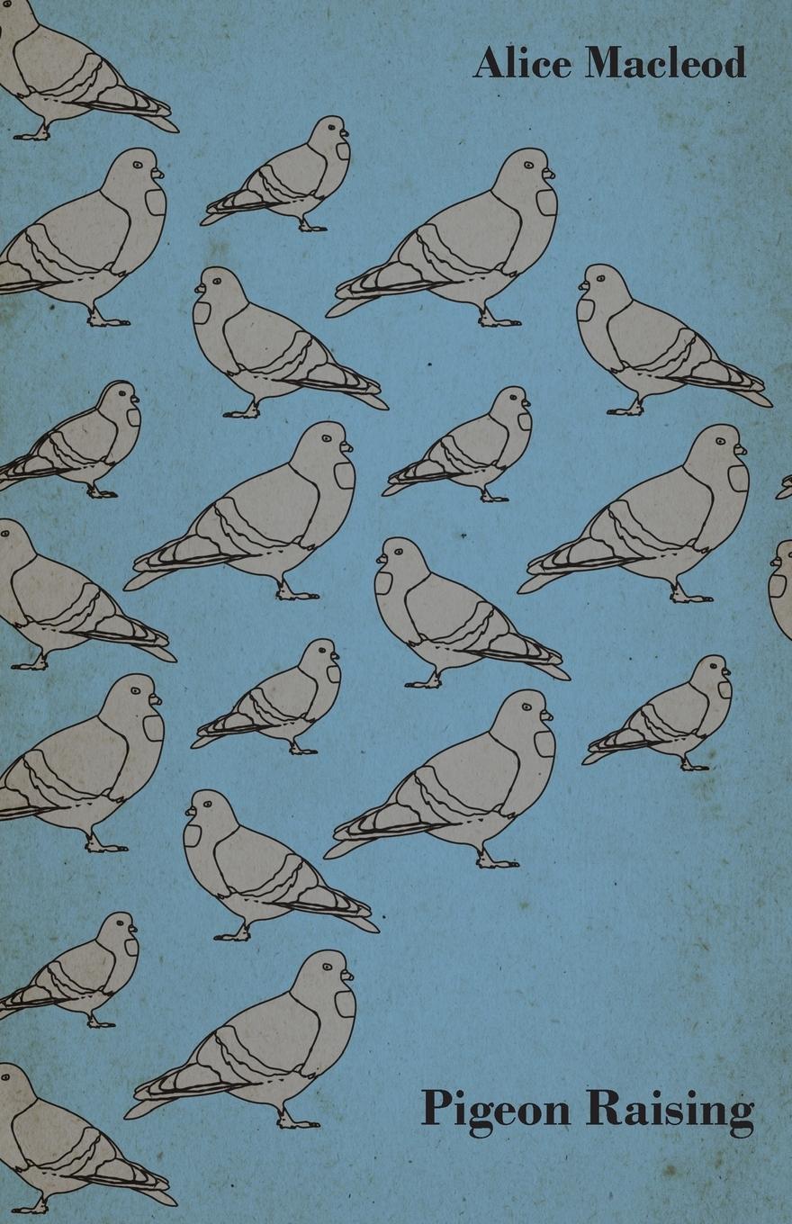 Vorderes Coverbild Pigeon Raising