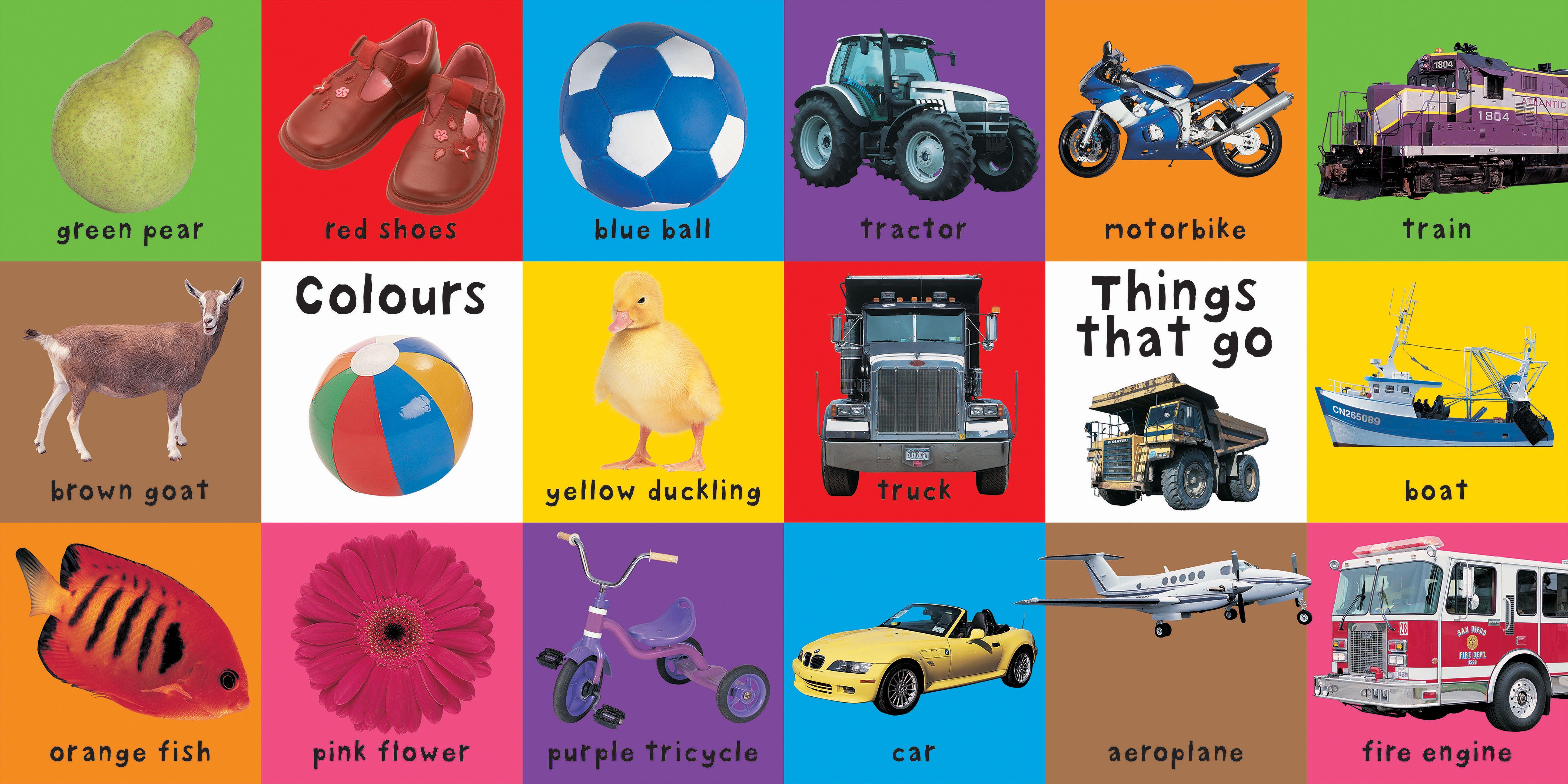 Beispielinhalt (Bild) First 100 Words