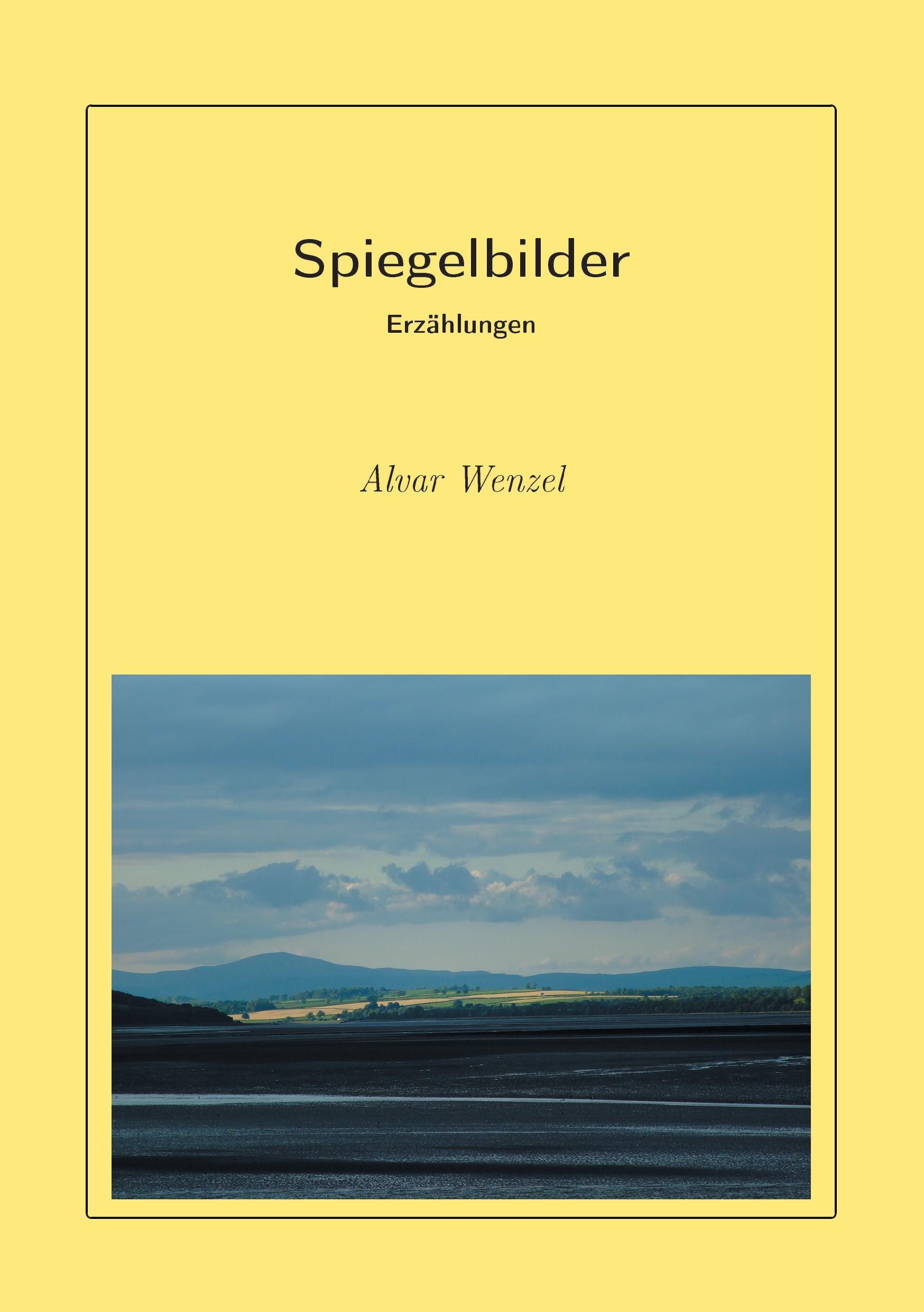 Vorderes Coverbild Spiegelbilder