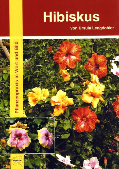 Vorderes Coverbild Hibiskus