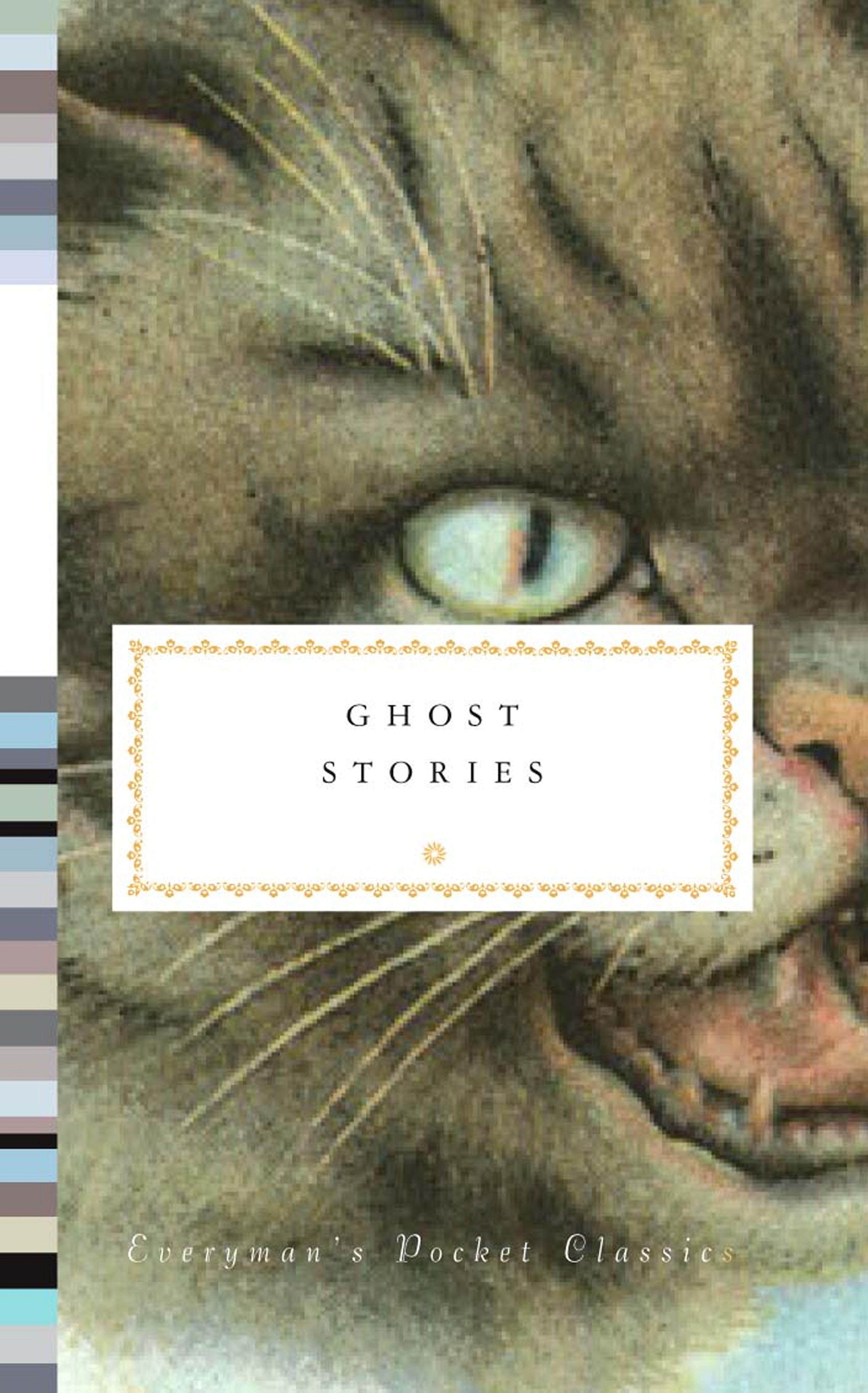 Vorderes Coverbild Ghost Stories