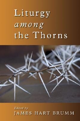 Vorderes Coverbild Liturgy Among the Thorns: Essays on Worship in the Reformed Church in America