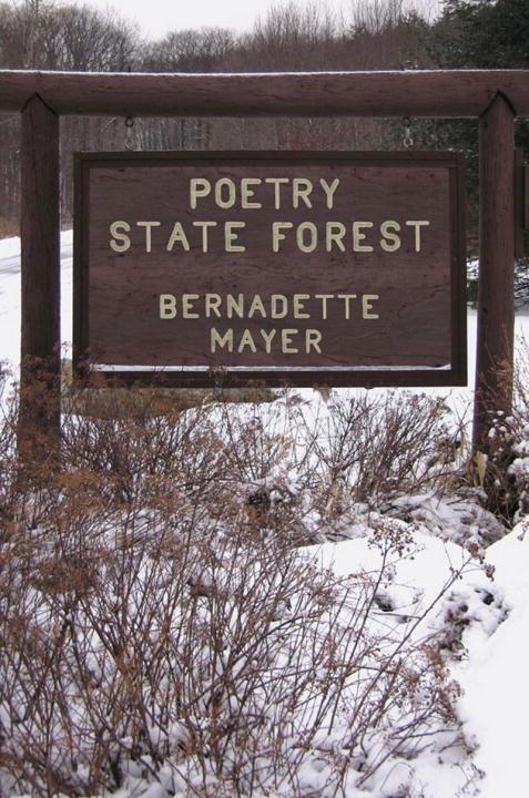 Vorderes Coverbild Poetry State Forest