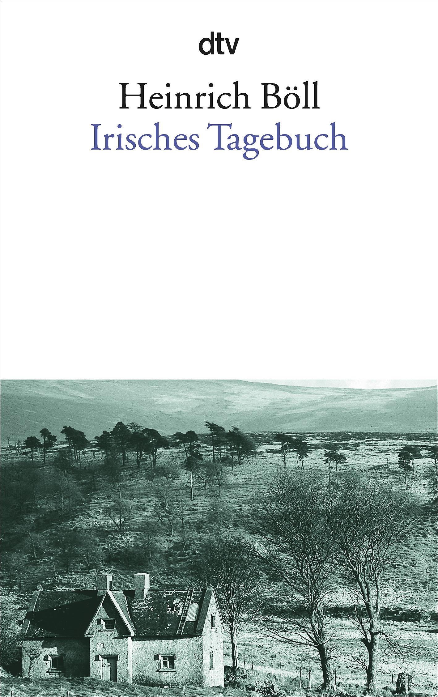 Vorderes Coverbild Irisches Tagebuch