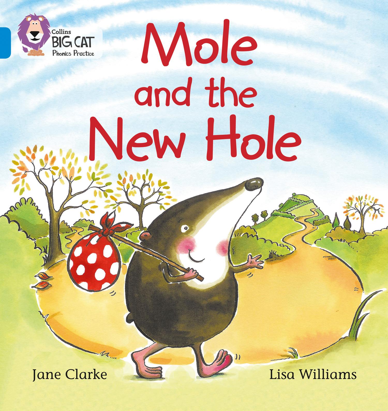 Vorderes Coverbild Mole and the New Hole