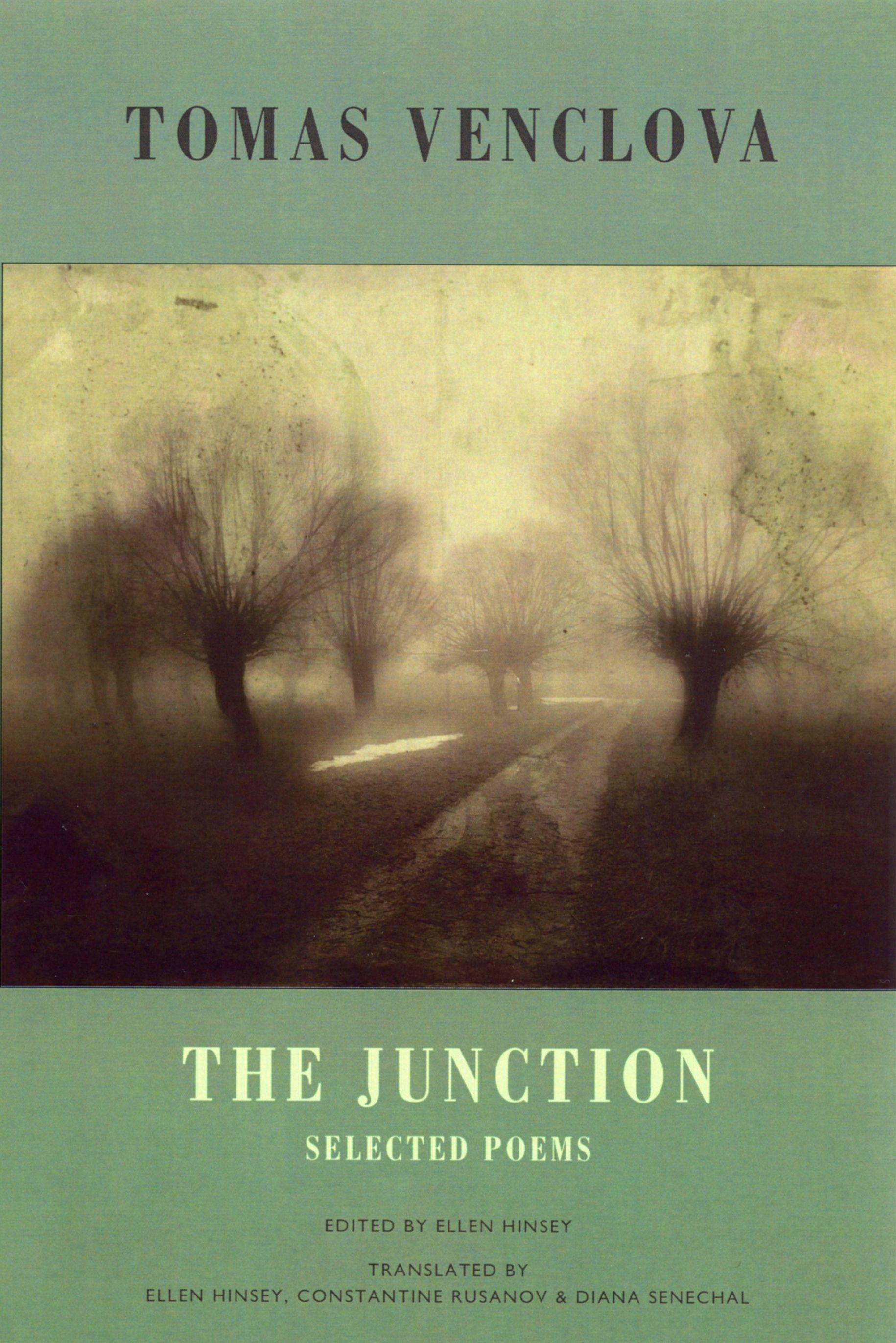Vorderes Coverbild The Junction: Selected Poems