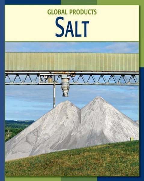 Vorderes Coverbild Salt