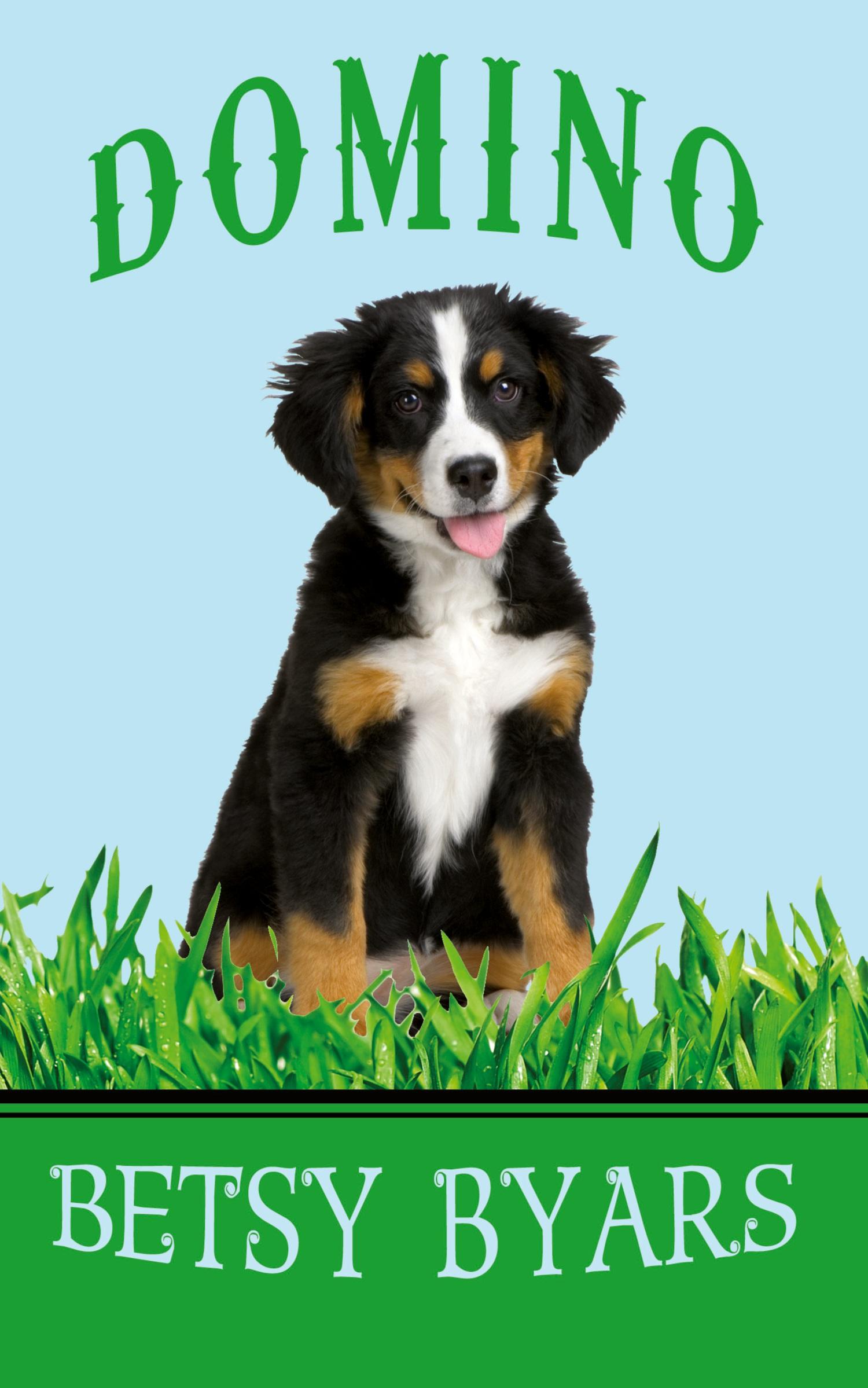 Vorderes Coverbild Domino