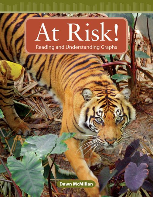 Vorderes Coverbild At Risk!