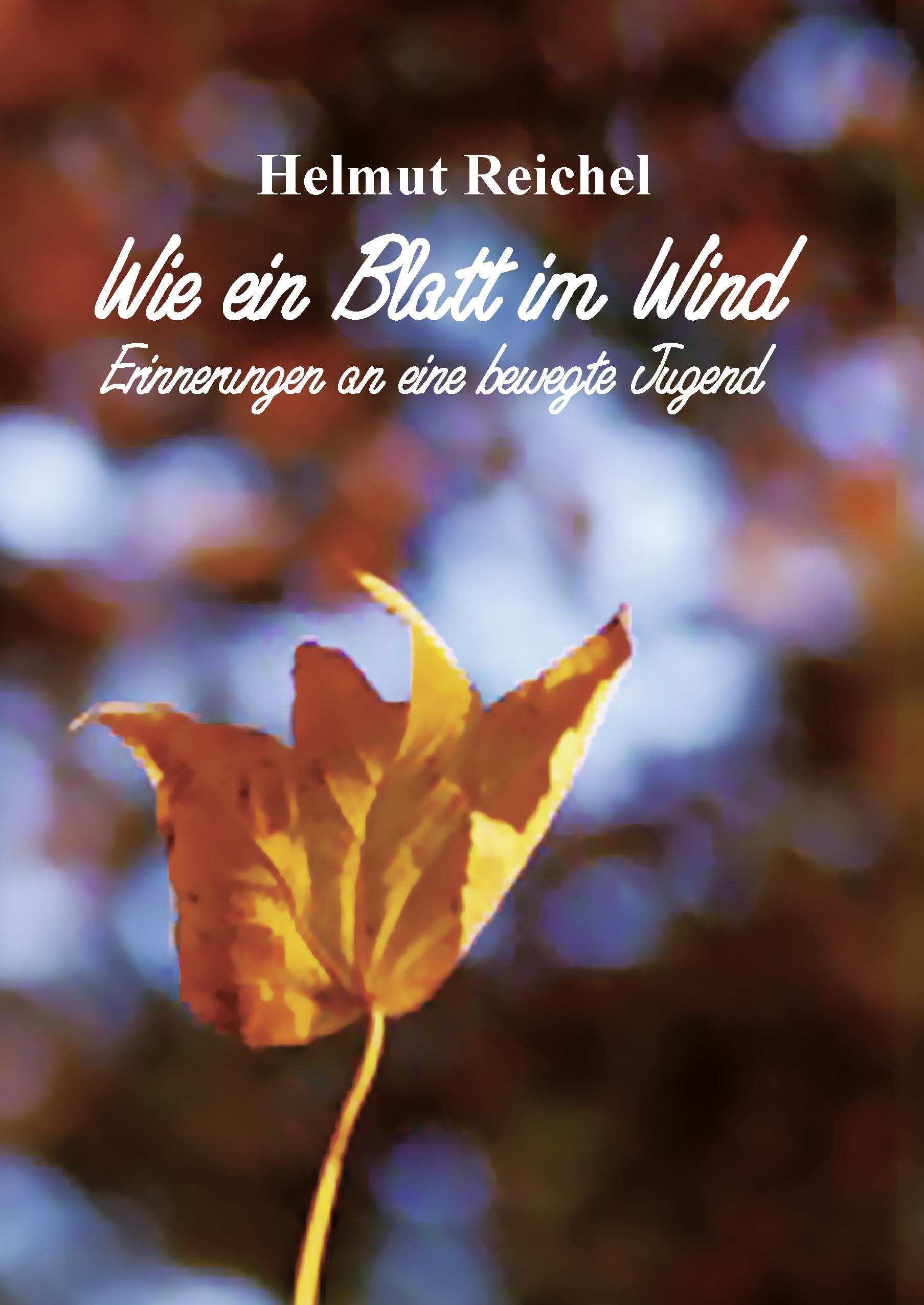 Vorderes Coverbild Wie ein Blatt im Wind