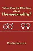 Vorderes Coverbild What Does the Bible Say About Homosexuality?