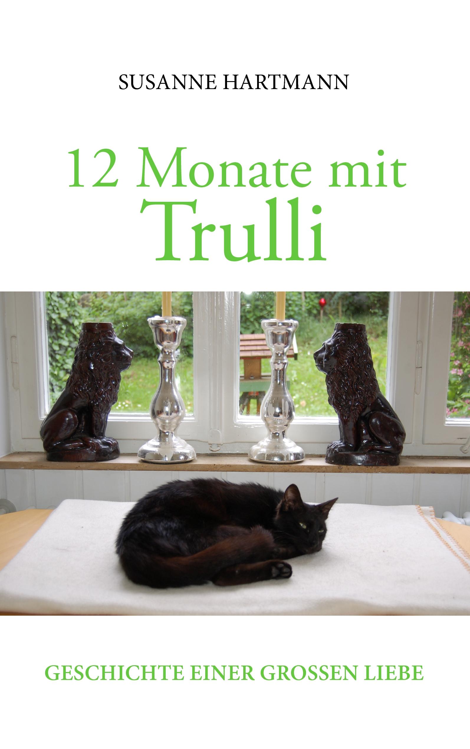 Vorderes Coverbild 12 Monate mit Trulli