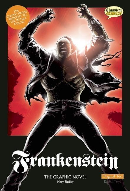 Vorderes Coverbild Frankenstein the Graphic Novel: Original Text
