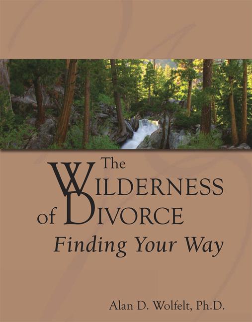 Vorderes Coverbild The Wilderness of Divorce
