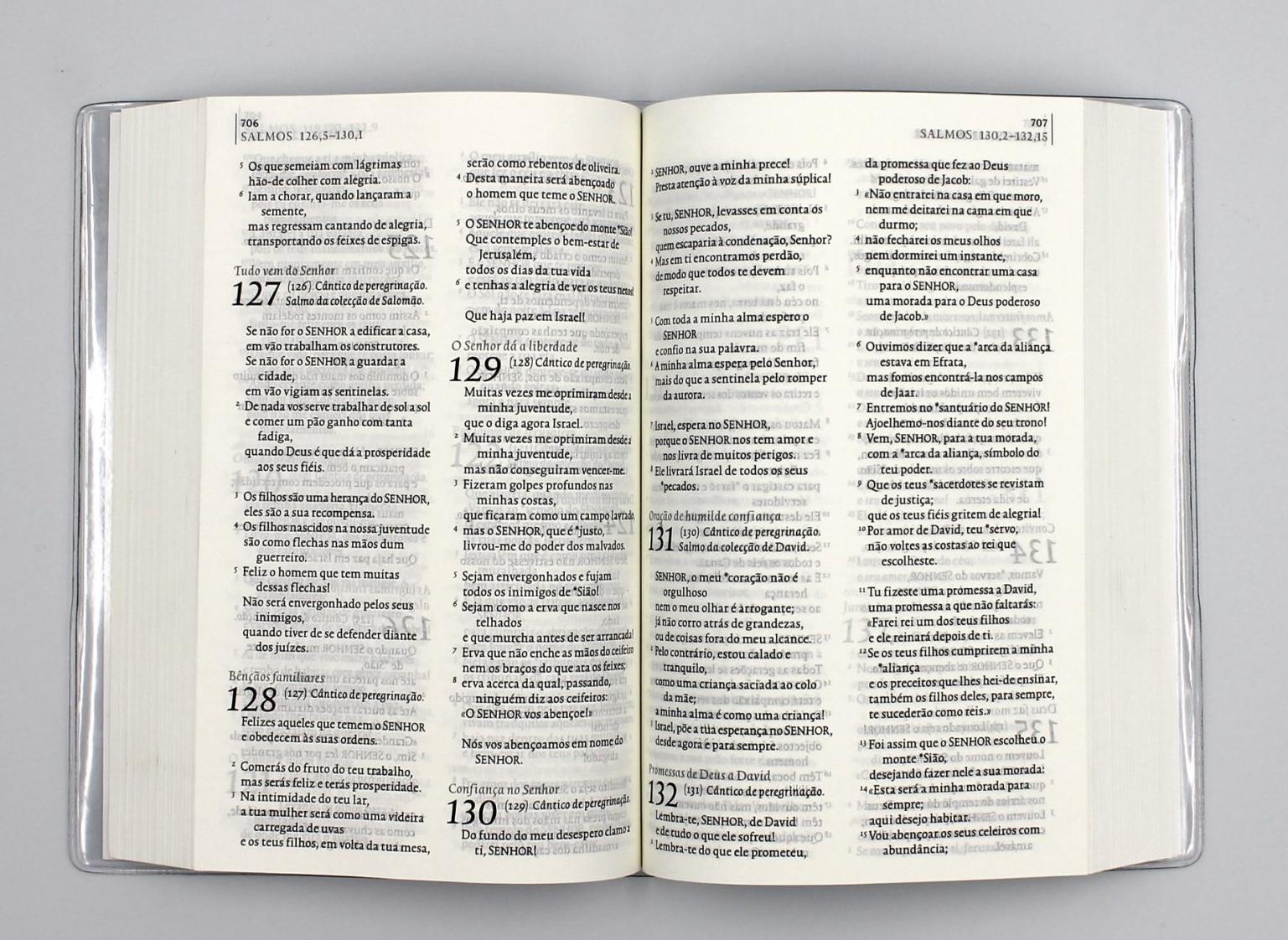 Beispielinhalt (Bild) Bibel Portugiesisch - a Bíblia para todos