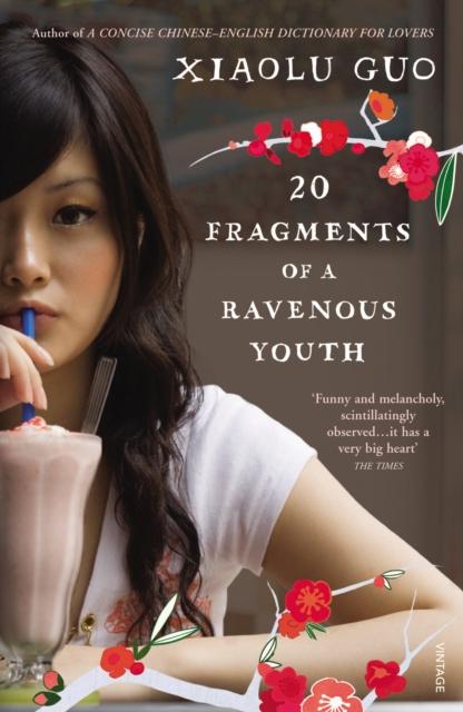 Vorderes Coverbild 20 Fragments of a Ravenous Youth