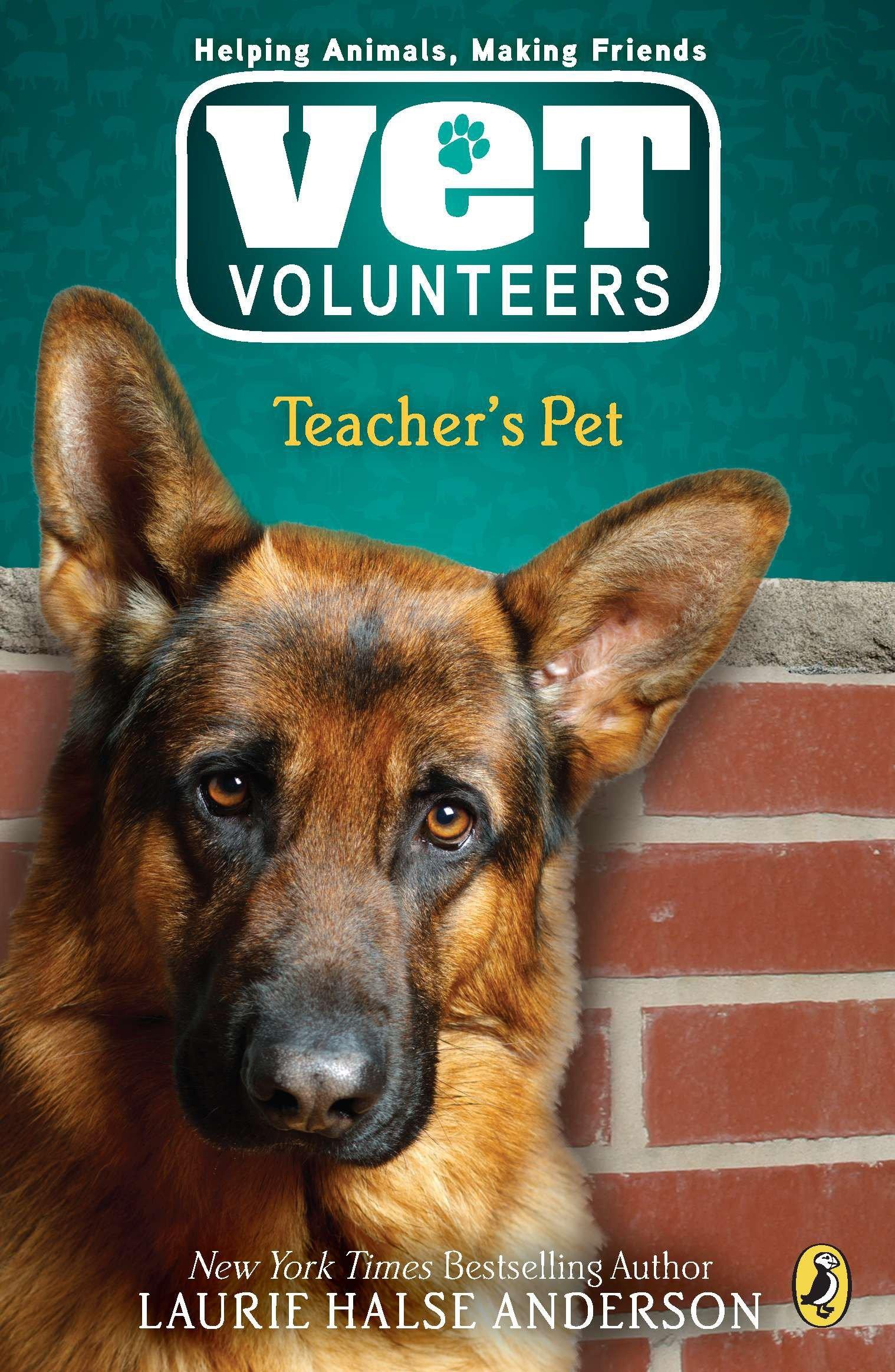 Vorderes Coverbild Teacher's Pet