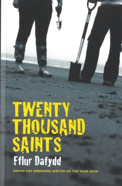 Vorderes Coverbild Twenty Thousand Saints