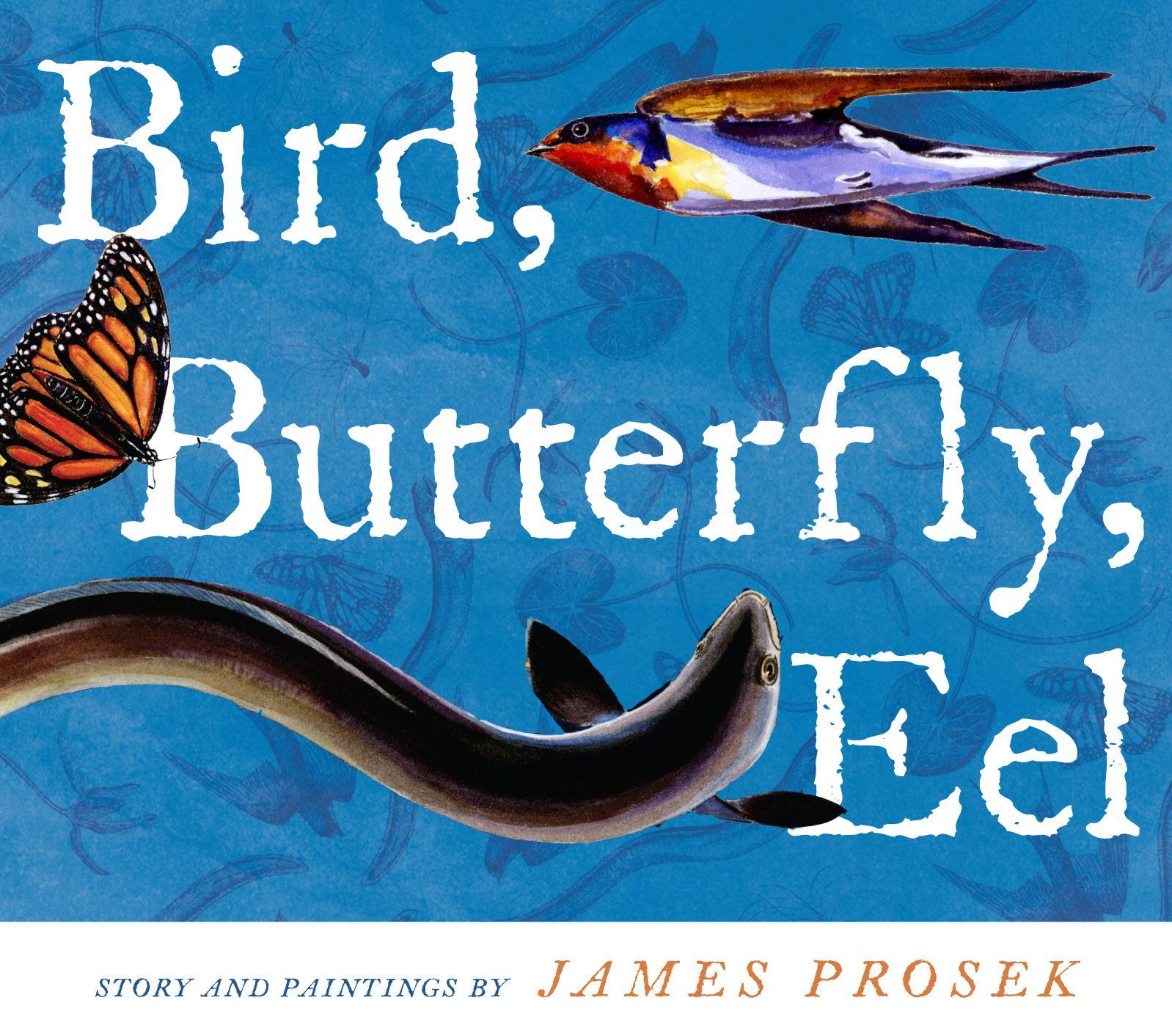 Vorderes Coverbild Bird, Butterfly, Eel