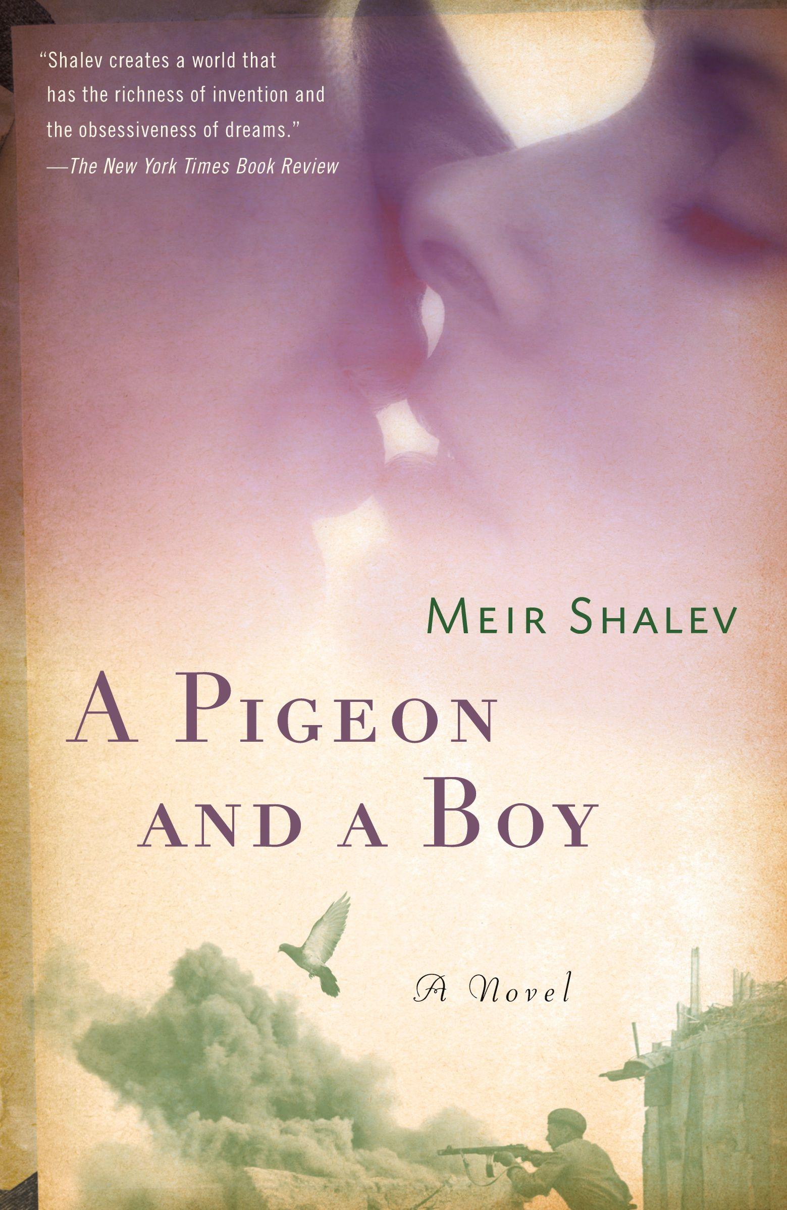 Vorderes Coverbild A Pigeon and a Boy