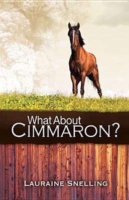 Vorderes Coverbild What about Cimmaron?