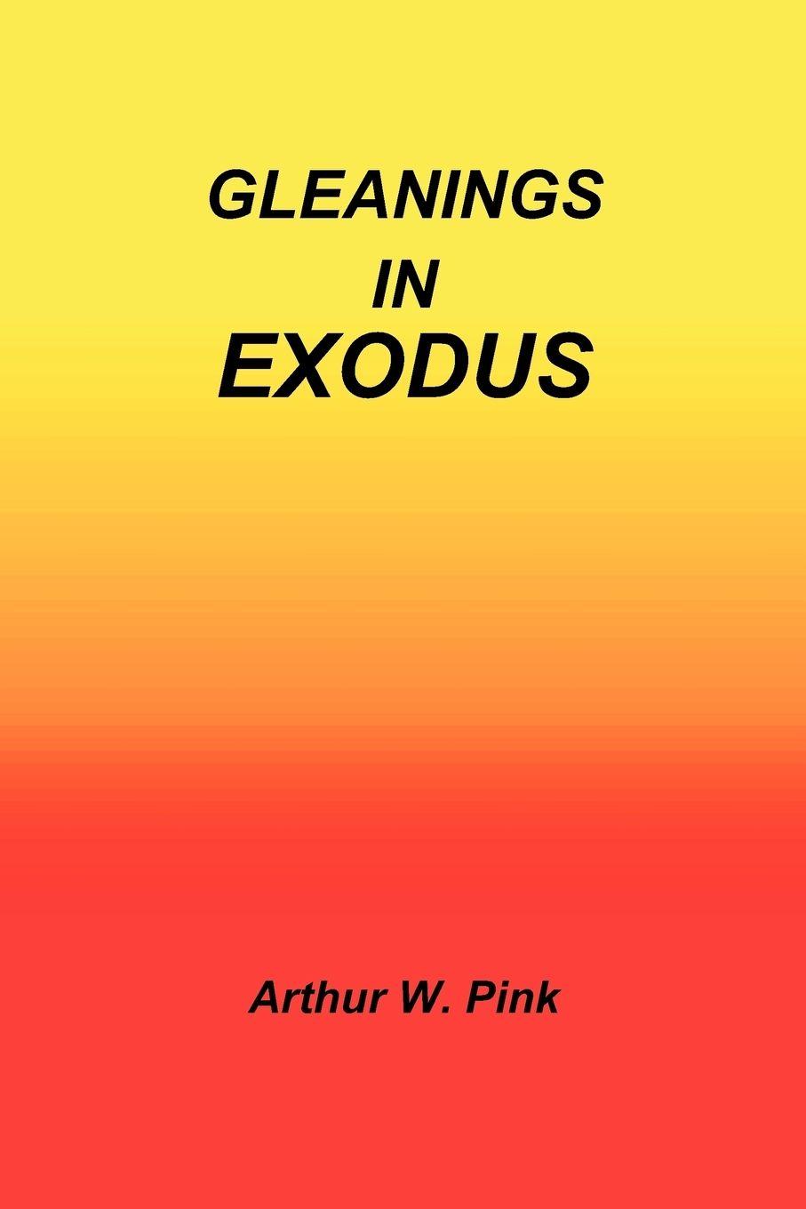 Vorderes Coverbild Gleanings in Exodus