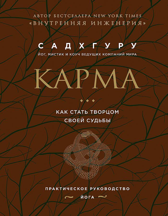 Vorderes Coverbild Karma. Kak stat' tvorcom svoej sud'by