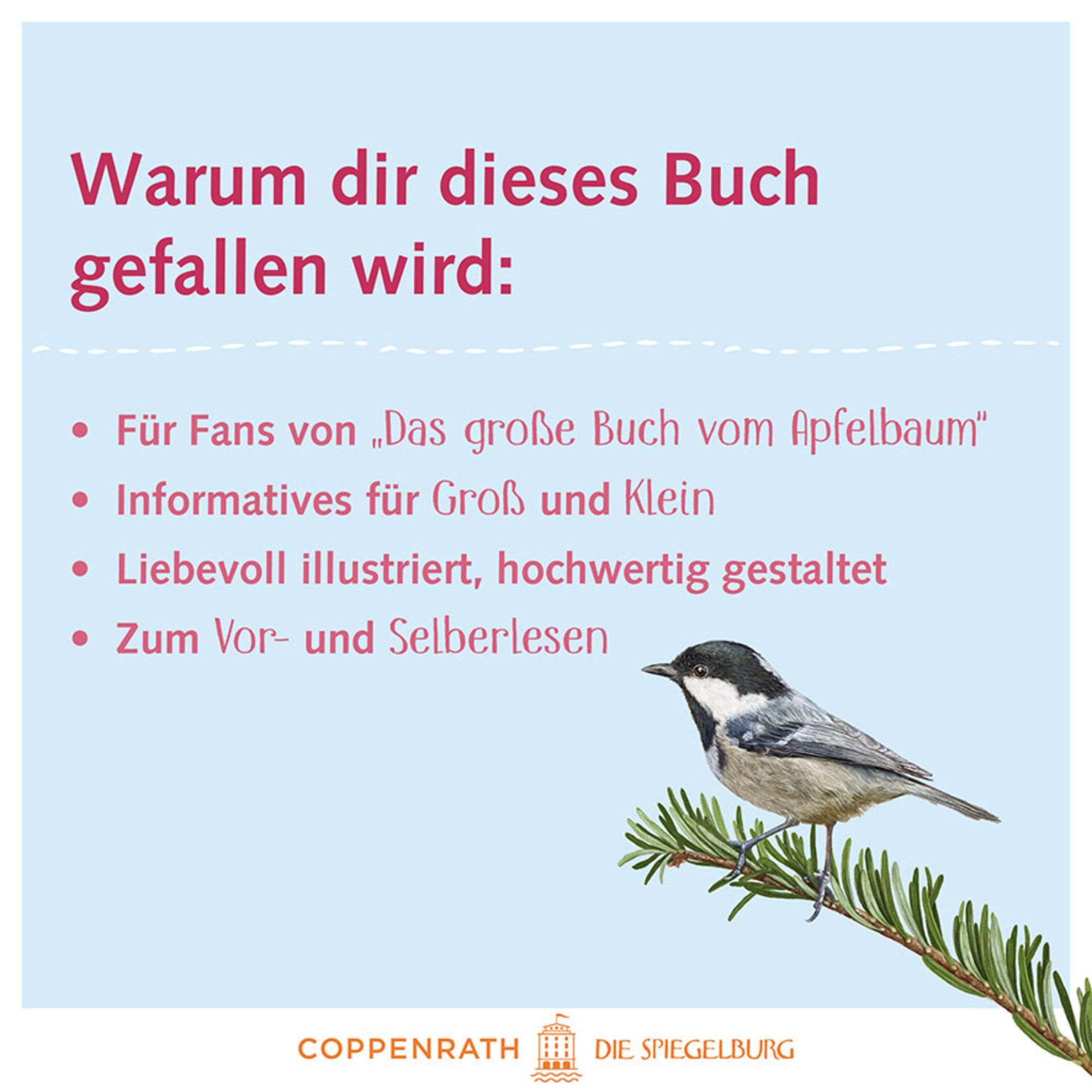 Beispielinhalt (Bild) Das große Buch vom Tannenbaum