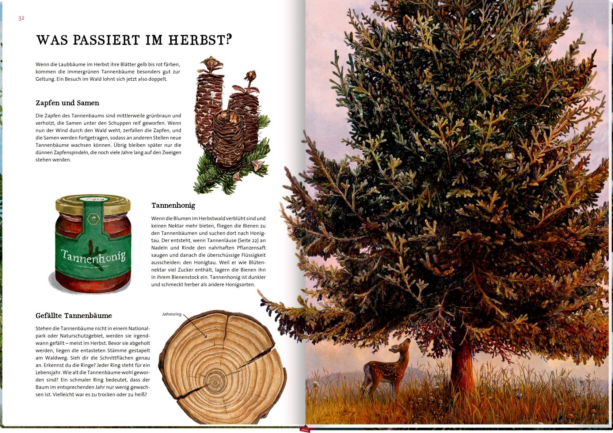 Beispielinhalt (Bild) Das große Buch vom Tannenbaum