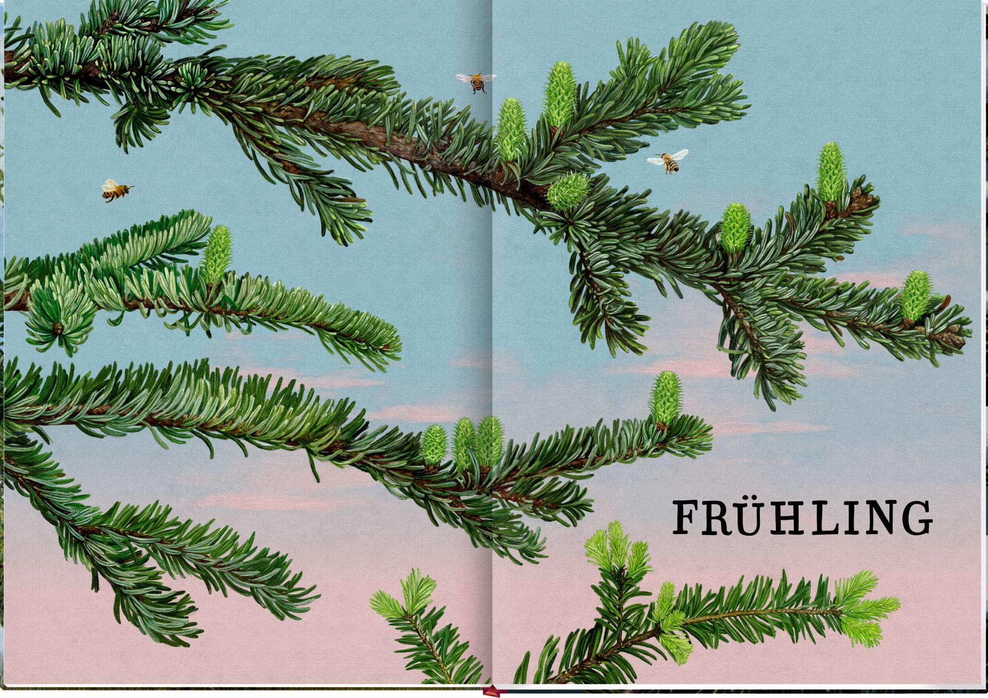 Beispielinhalt (Bild) Das große Buch vom Tannenbaum