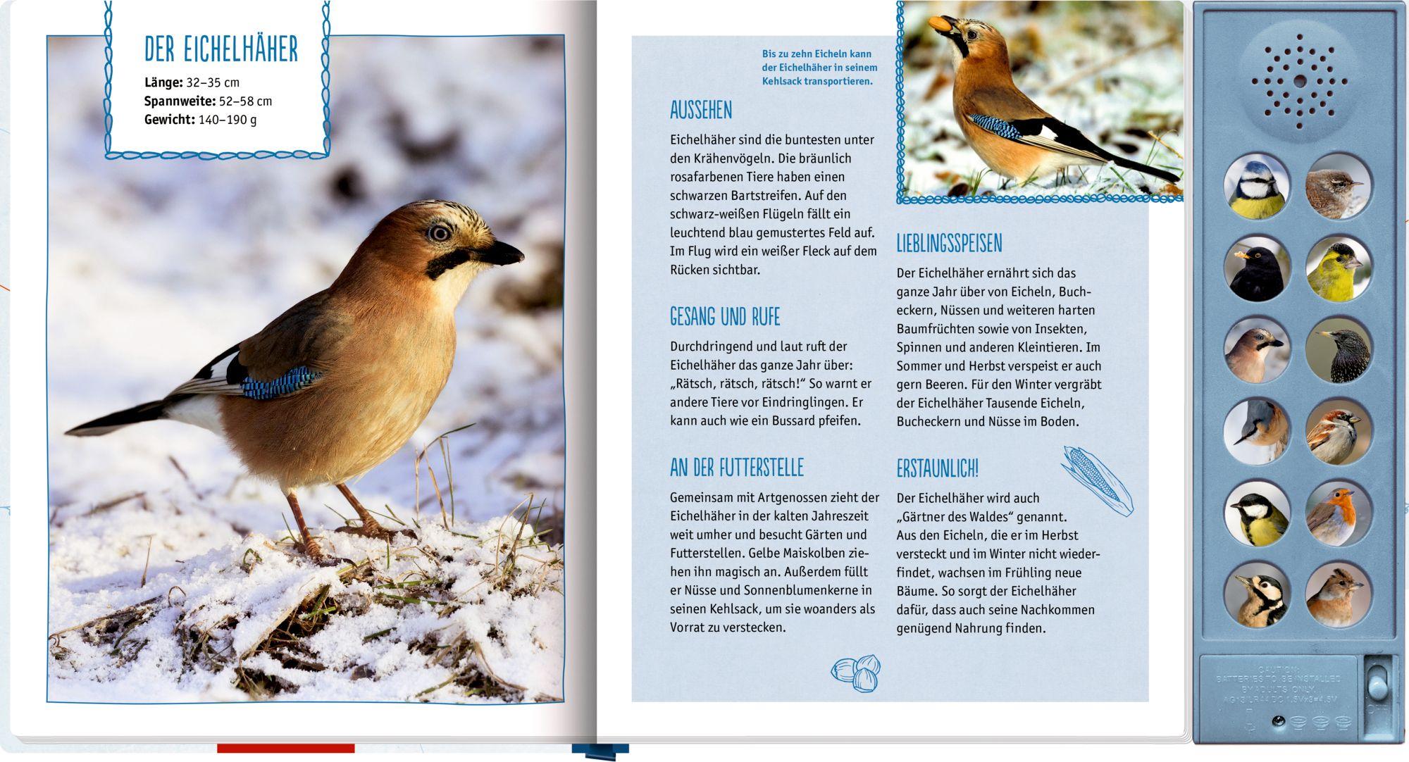 Beispielinhalt (Bild) Vögel im Winter bei dir zu Gast