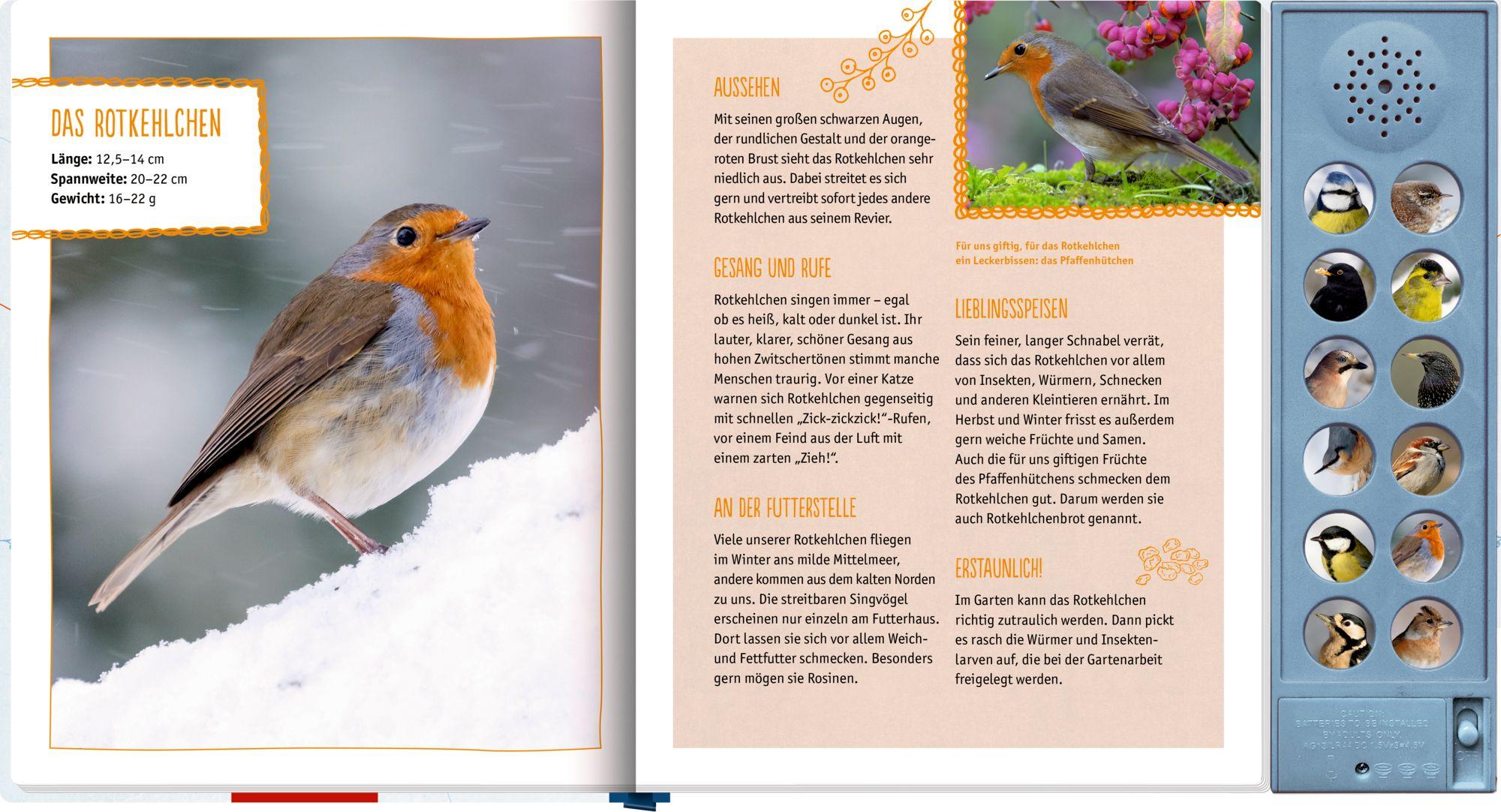 Beispielinhalt (Bild) Vögel im Winter bei dir zu Gast