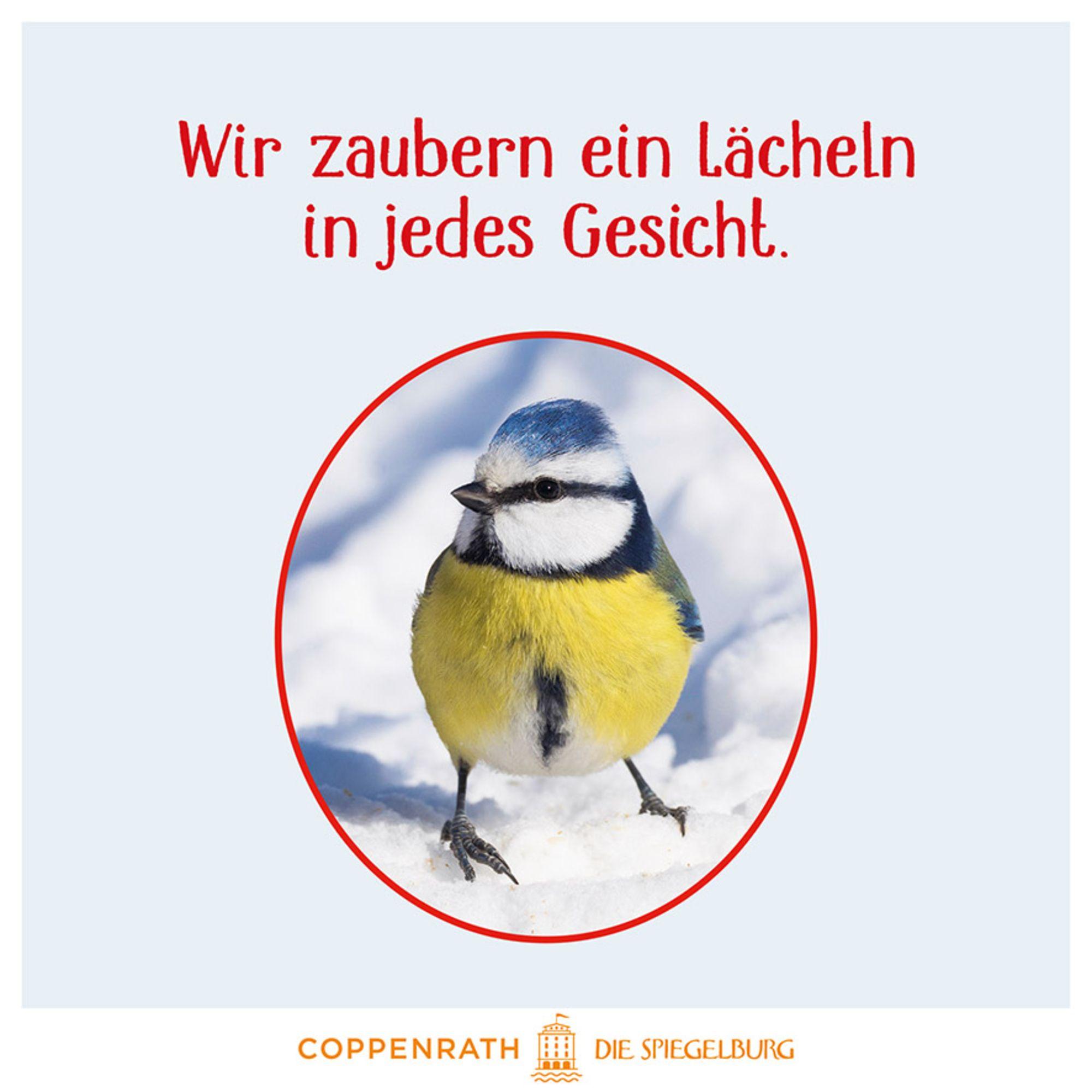 Beispielinhalt (Bild) Vögel im Winter bei dir zu Gast