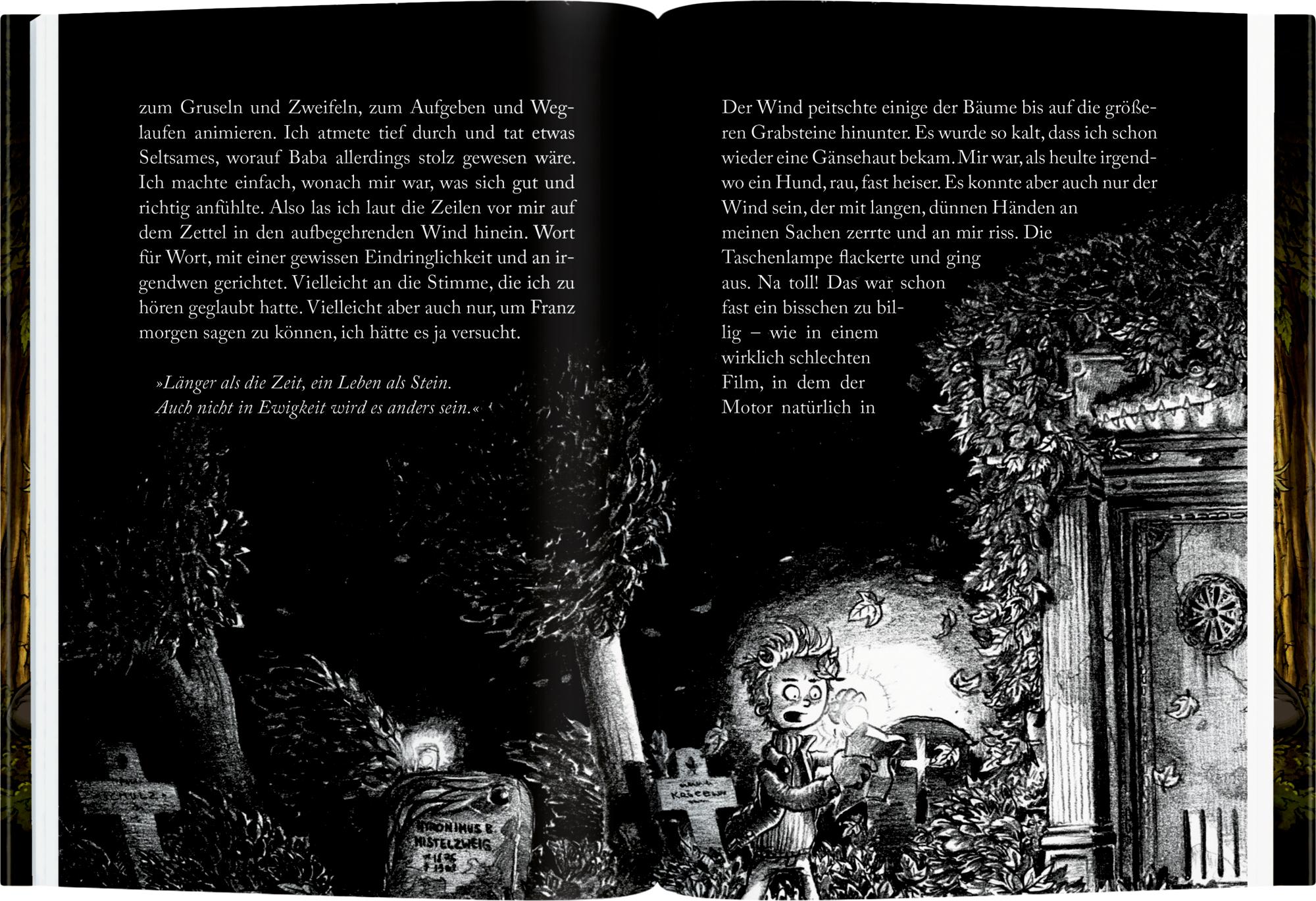 Beispielinhalt (Bild) Die Finstersteins (Bd. 1)