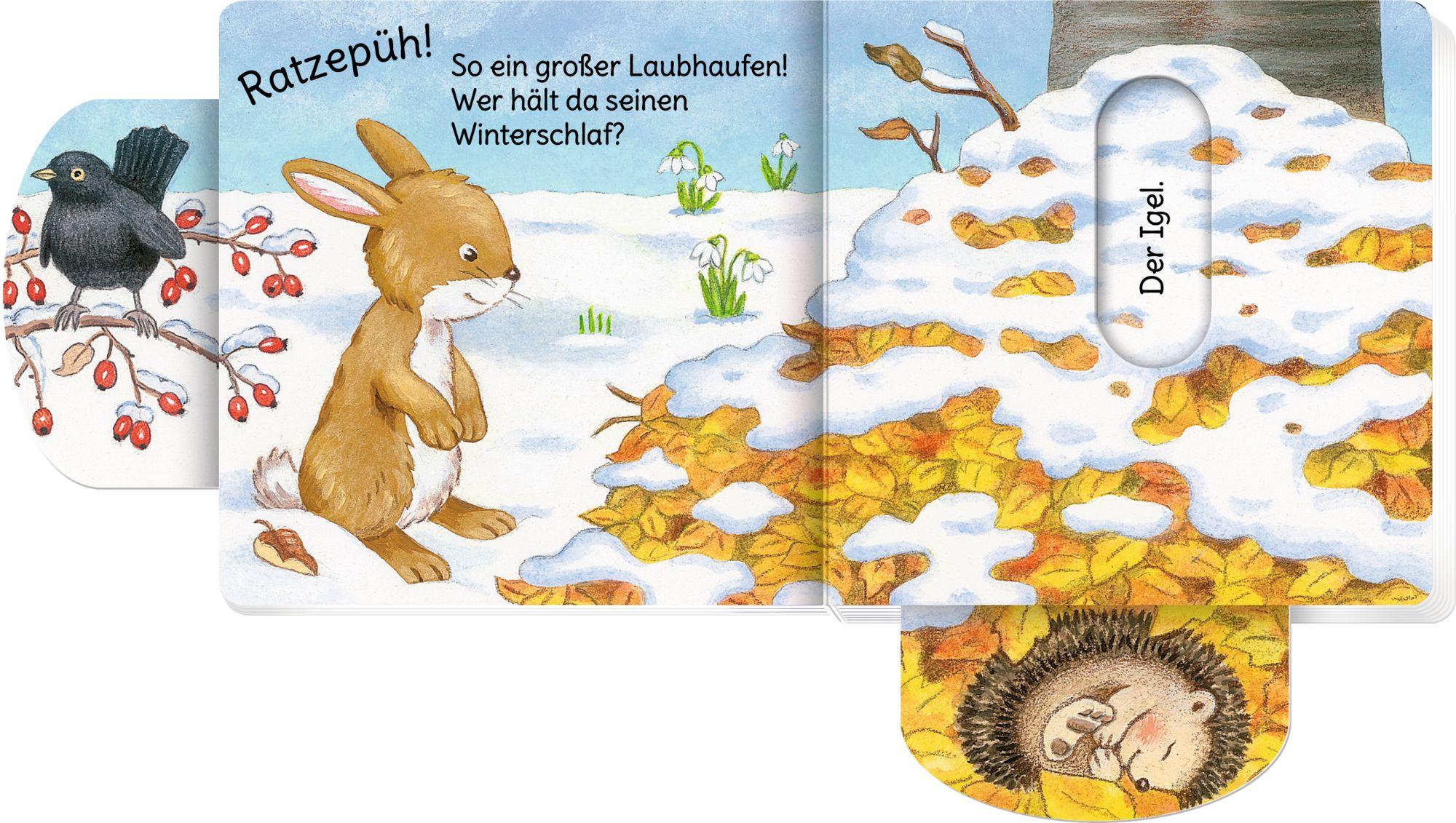 Beispielinhalt (Bild) minifanten 43: Tiere im Winterwald
