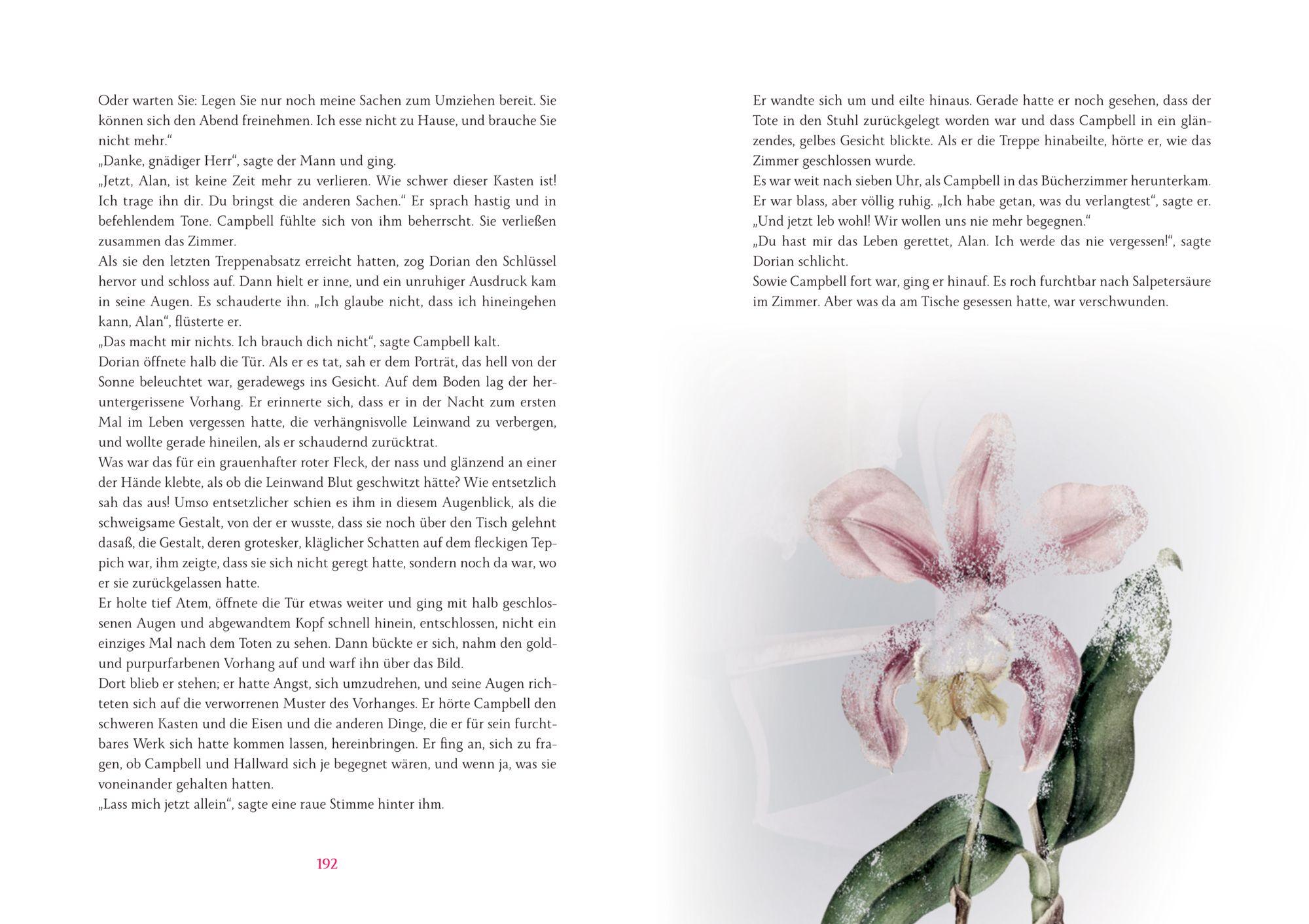 Beispielinhalt (Bild) Das Bildnis des Dorian Gray