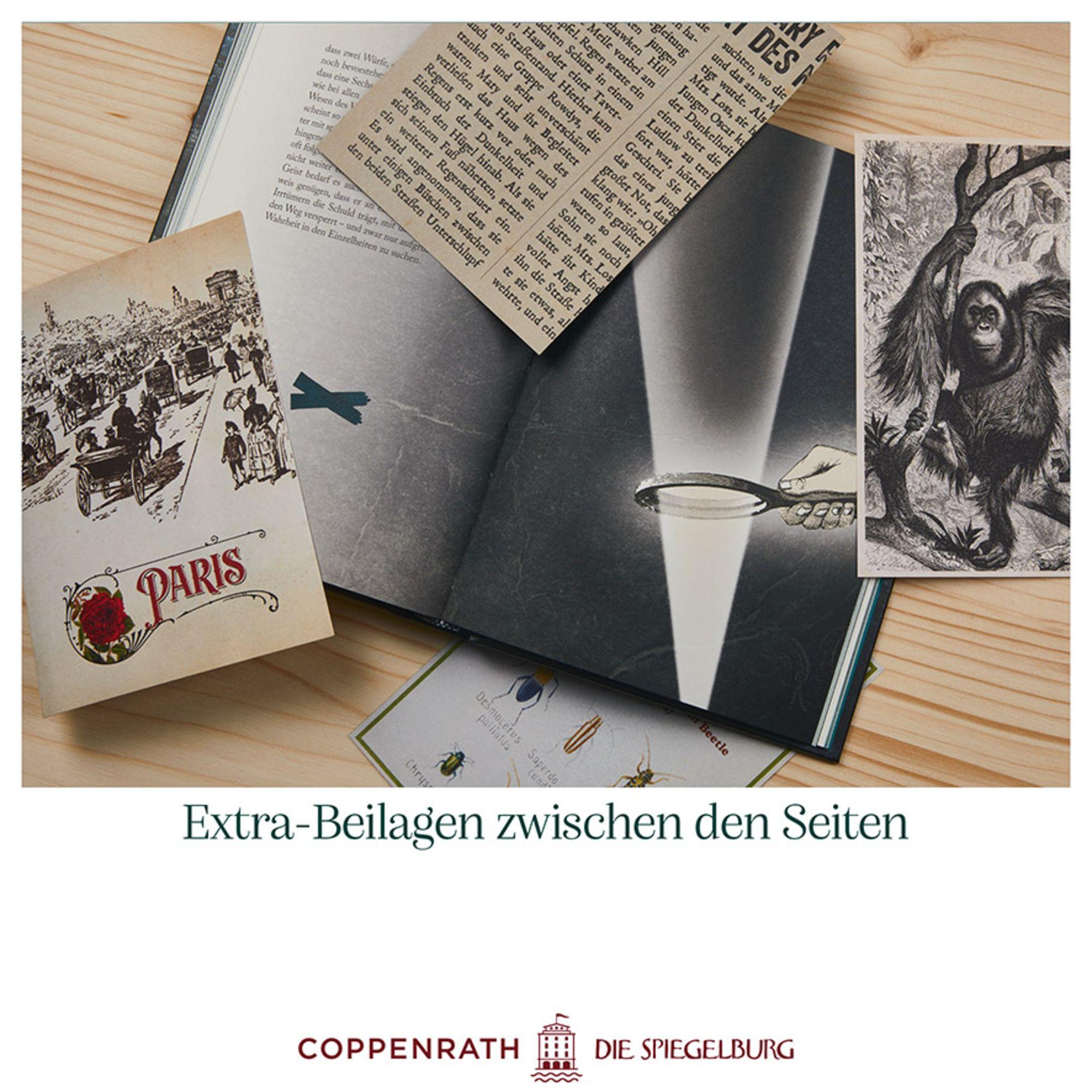 Beispielinhalt (Bild) Der Doppelmord in der Rue Morgue