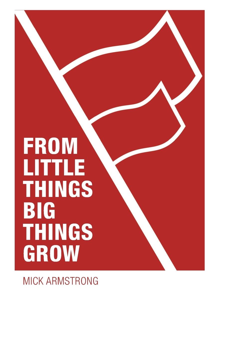 Vorderes Coverbild From little things big things grow