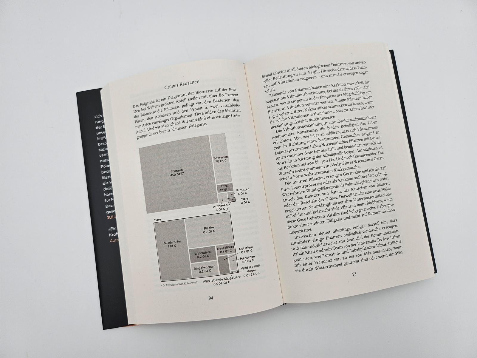 Beispielinhalt (Bild) Alles ist Klang