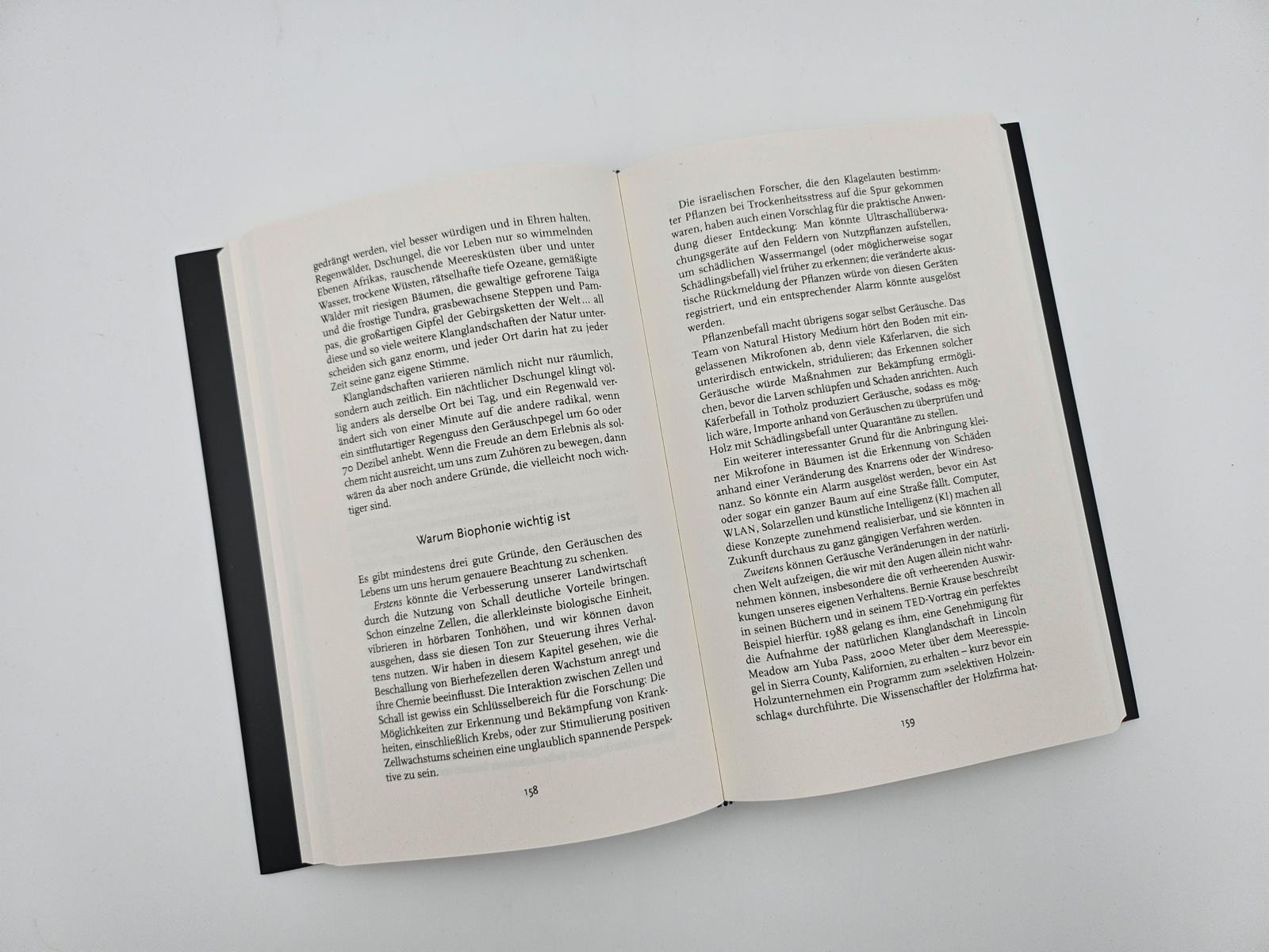 Beispielinhalt (Bild) Alles ist Klang