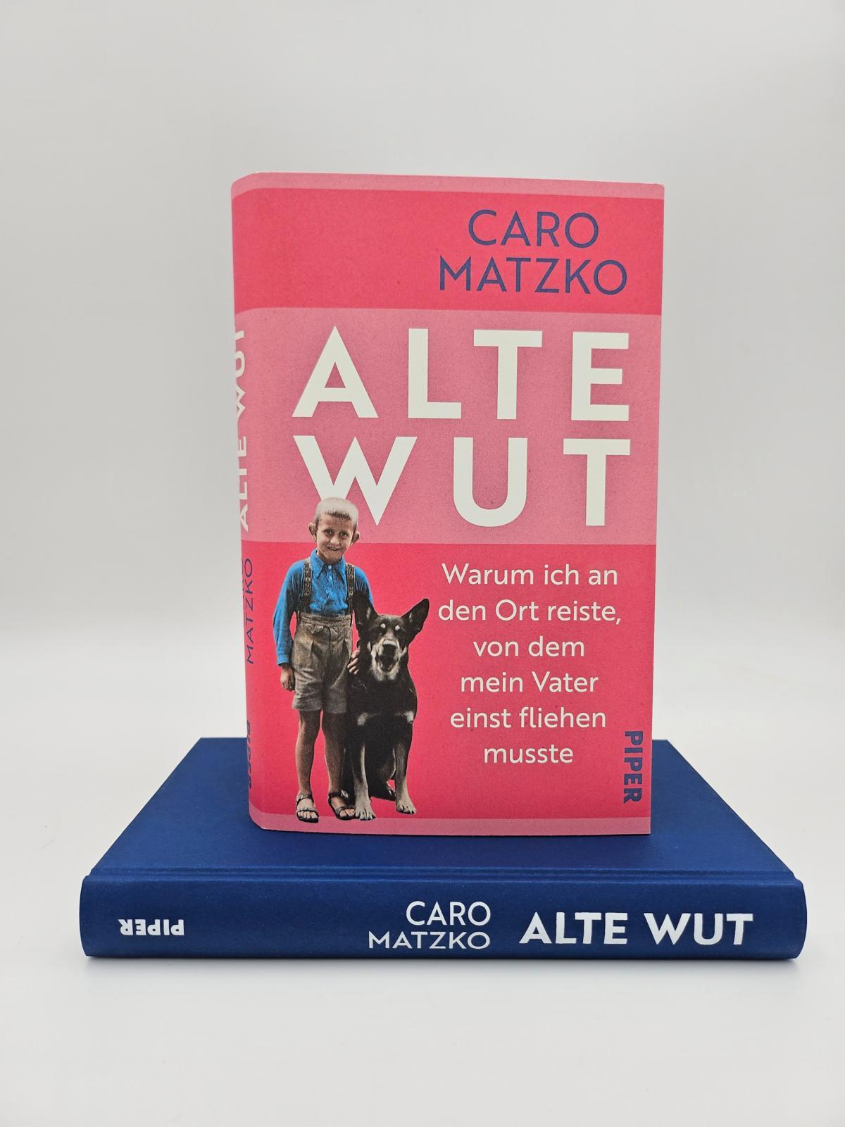 Beispielinhalt (Bild) Alte Wut