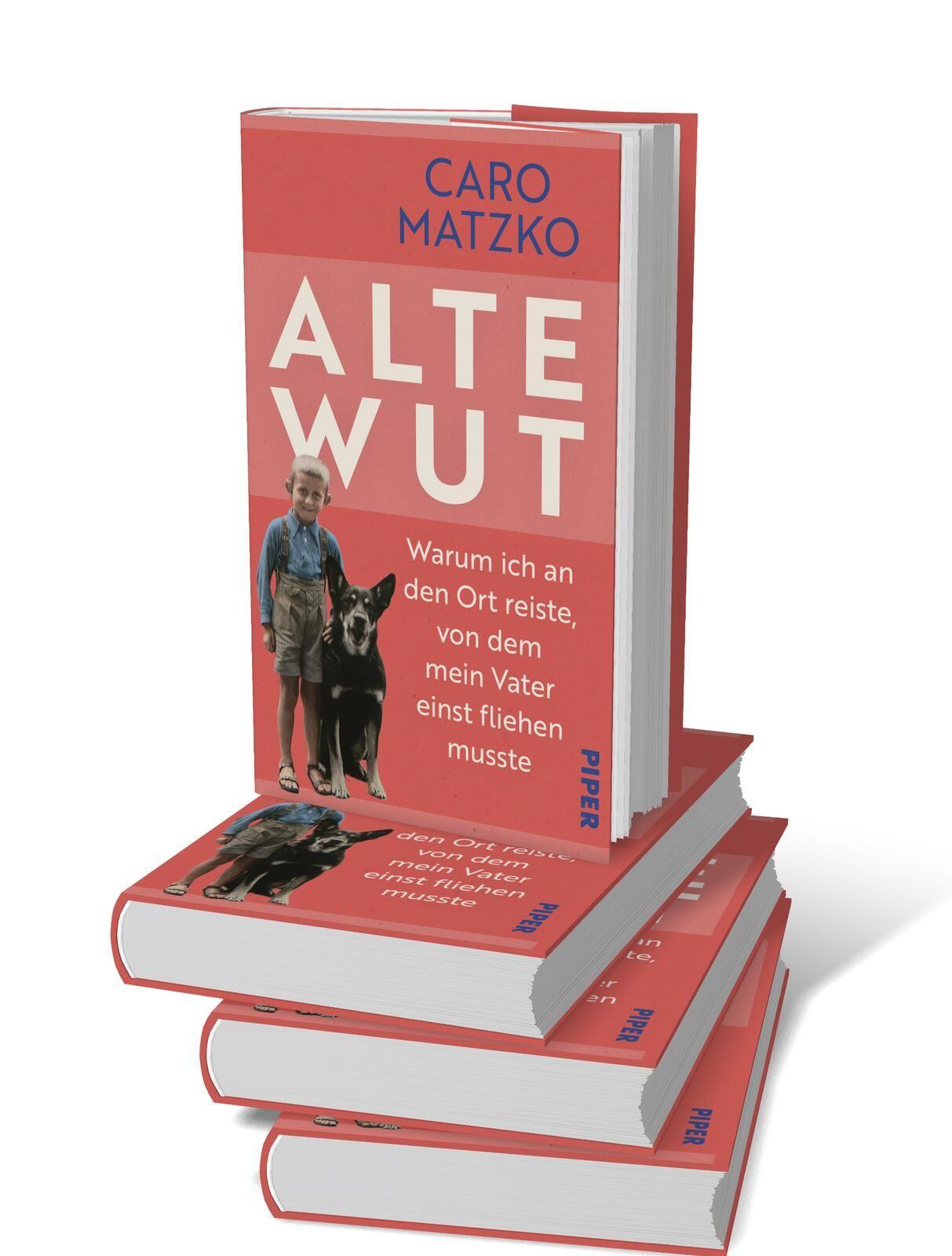 Beispielinhalt (Bild) Alte Wut