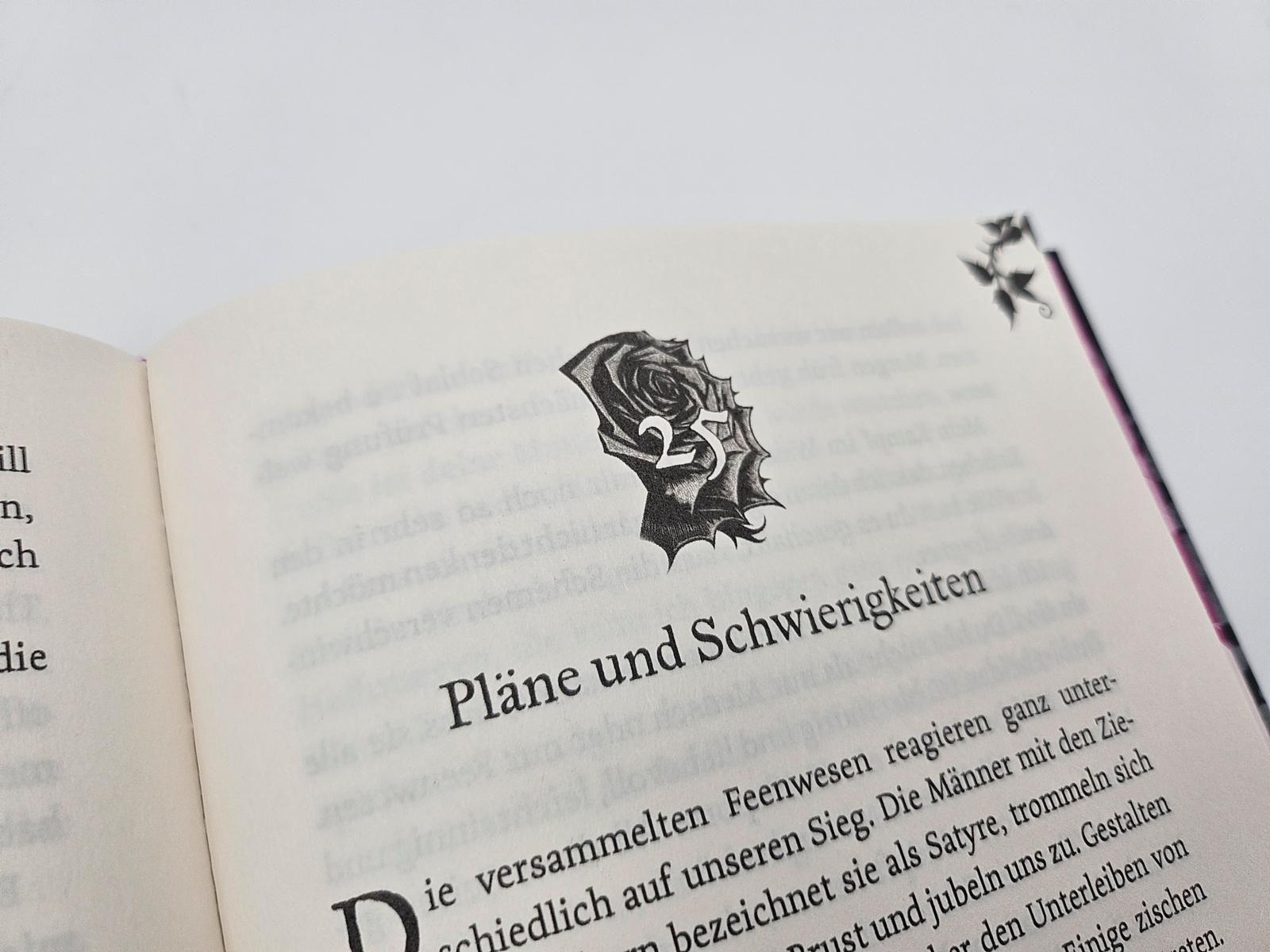 Beispielinhalt (Bild) Feenfluch - Dein Wunsch soll erfüllt werden ...