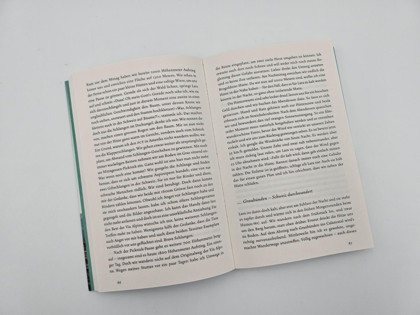 Beispielinhalt (Bild) VON WEGEN. Allein auf der Via Alpina - 2363 Kilometer zu Fuss von Triest nach Monaco