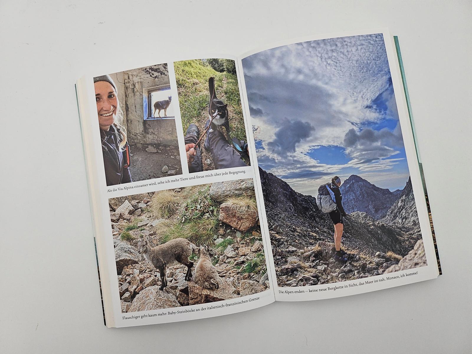 Beispielinhalt (Bild) VON WEGEN. Allein auf der Via Alpina - 2363 Kilometer zu Fuss von Triest nach Monaco