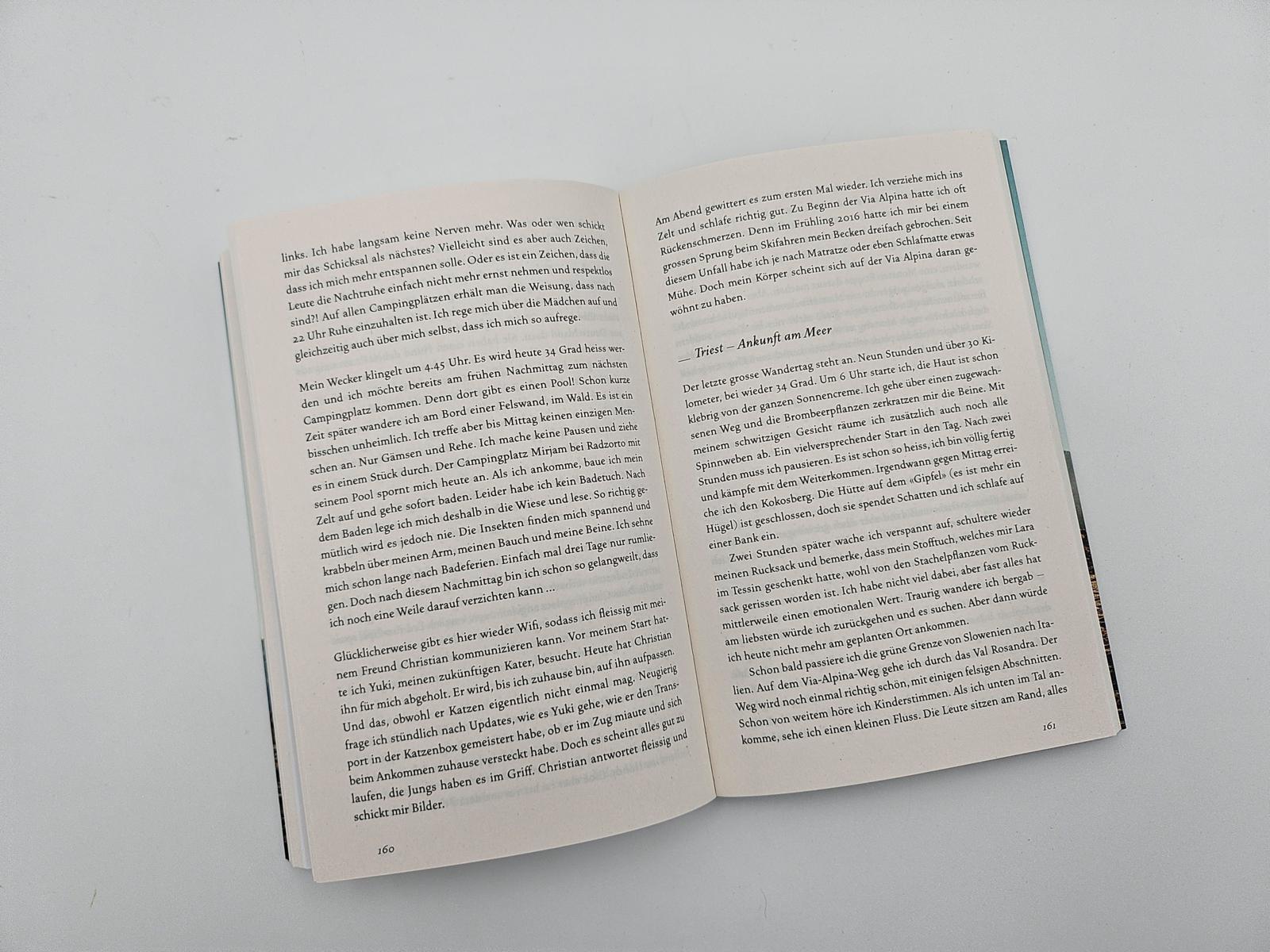 Beispielinhalt (Bild) VON WEGEN. Allein auf der Via Alpina - 2363 Kilometer zu Fuss von Triest nach Monaco