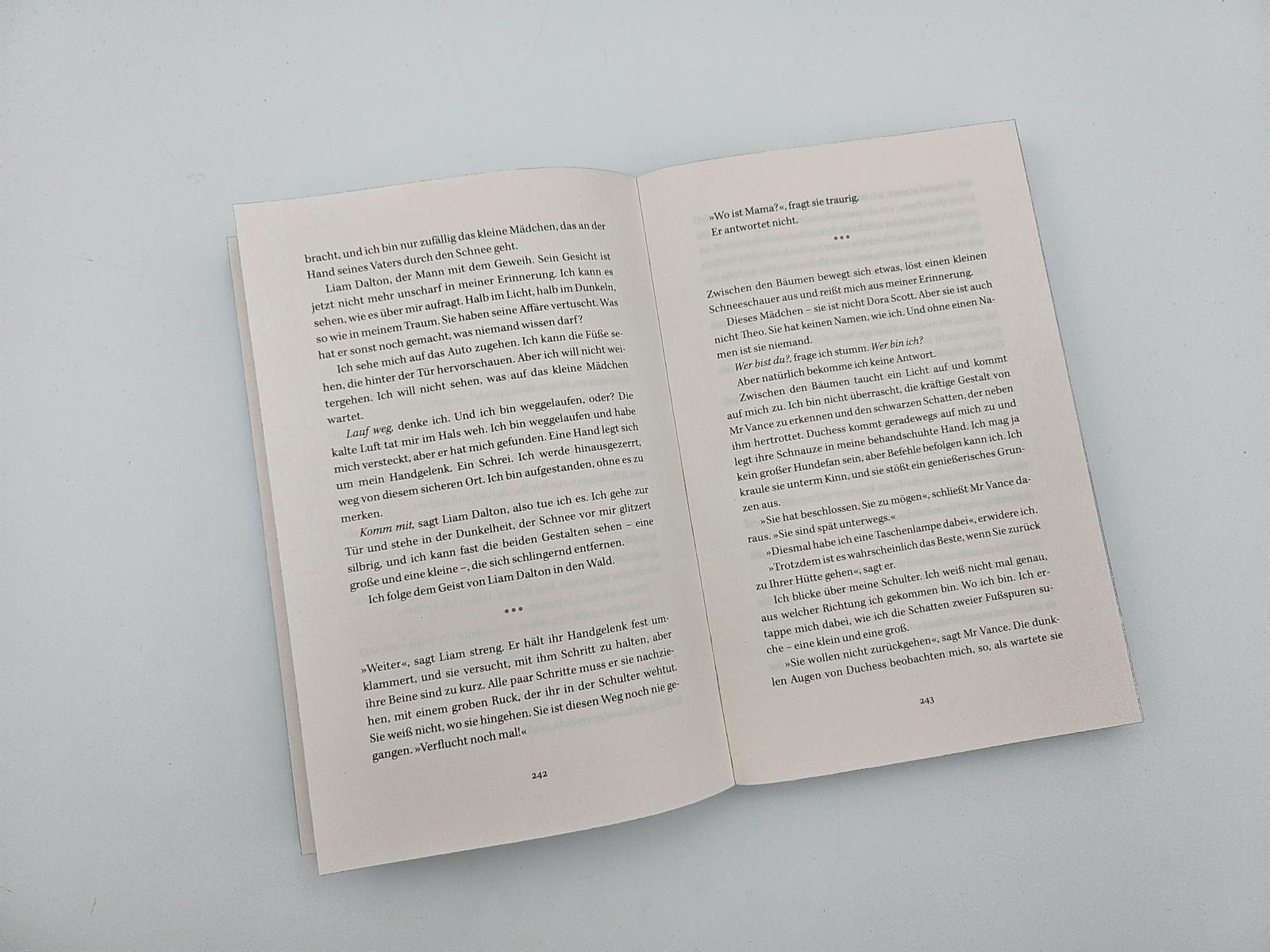 Beispielinhalt (Bild) Eisnebel