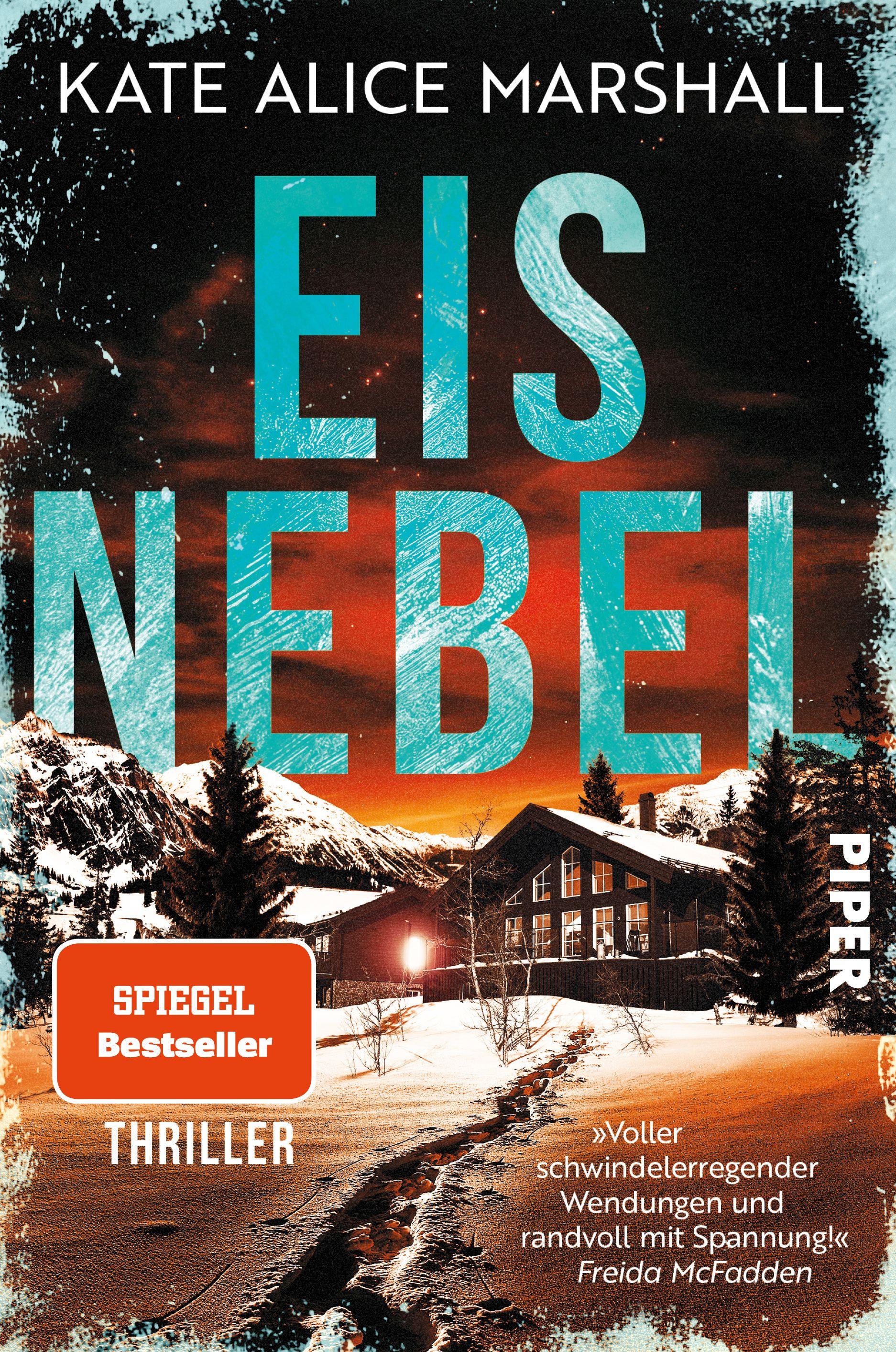 Vorderes Coverbild Eisnebel